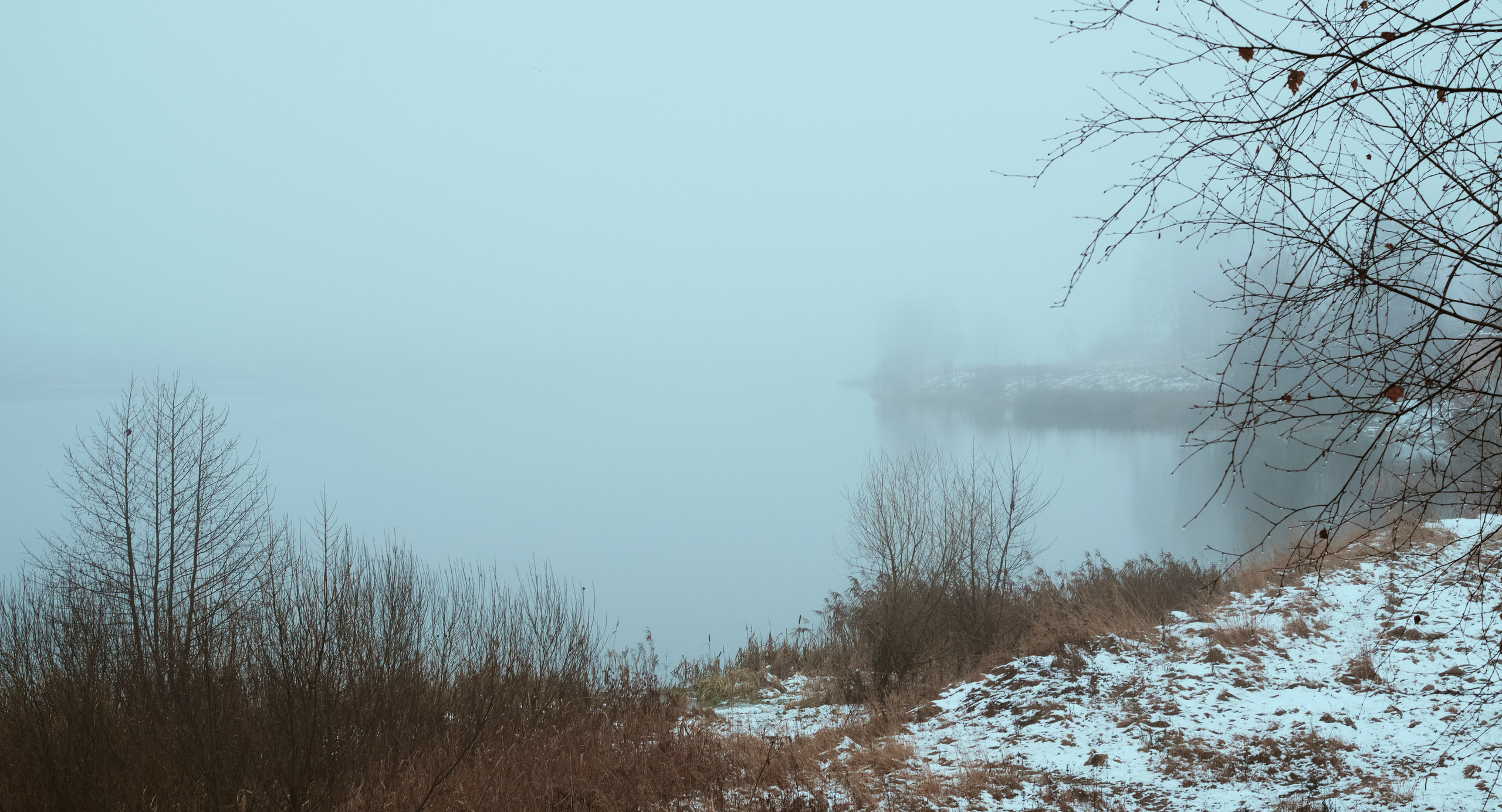 Съемкав туман. Фотограф для маркетплейсов в Иваново | Съемки одежды и белья