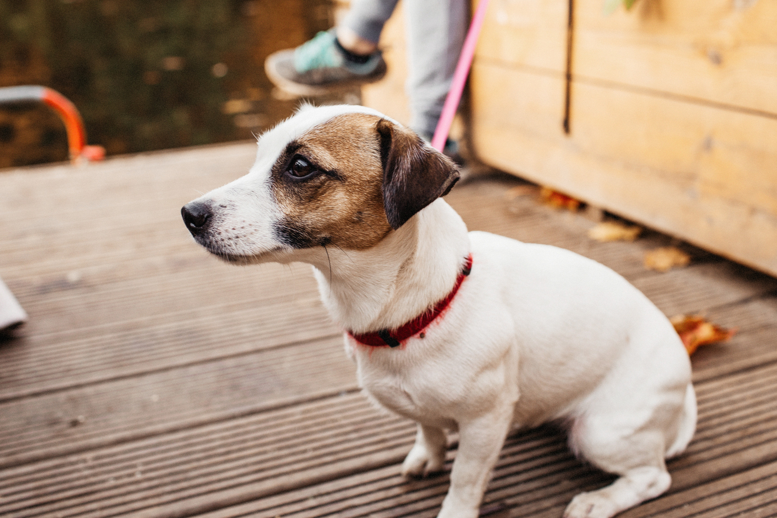 Маленькая Варечка с мамой Олесей, папой Артёмом и бабушкой Олей. Свадебный и семейный фотограф в Нижнем Новгороде Коданева Ольга