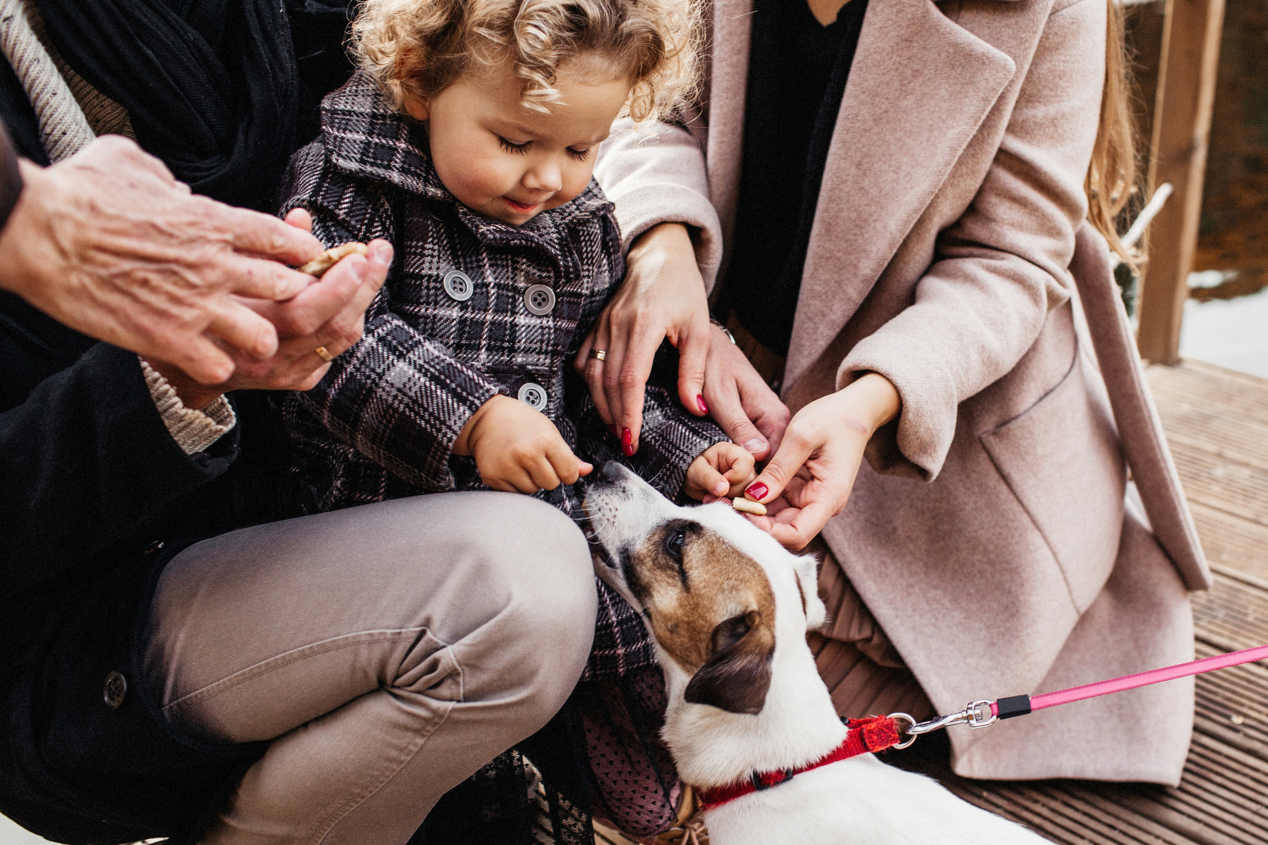 Маленькая Варечка с мамой Олесей, папой Артёмом и бабушкой Олей. Свадебный и семейный фотограф в Нижнем Новгороде Коданева Ольга