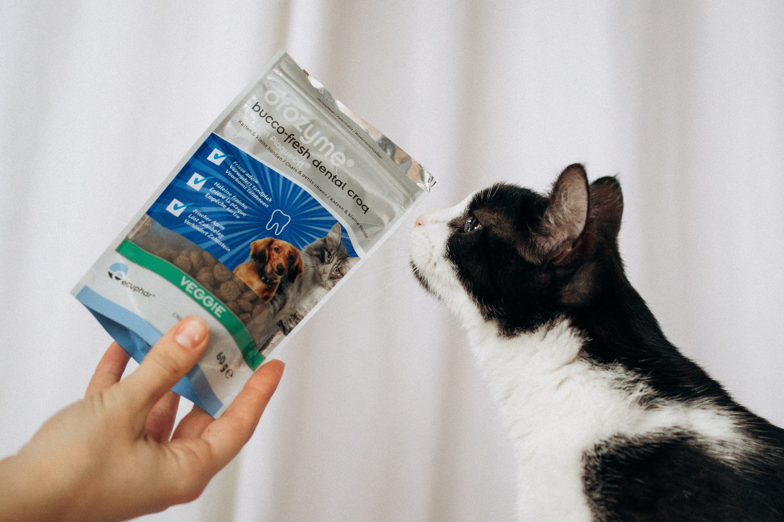 Orozyme&Emmiepet. Фотораф — анималист Мария Шистка