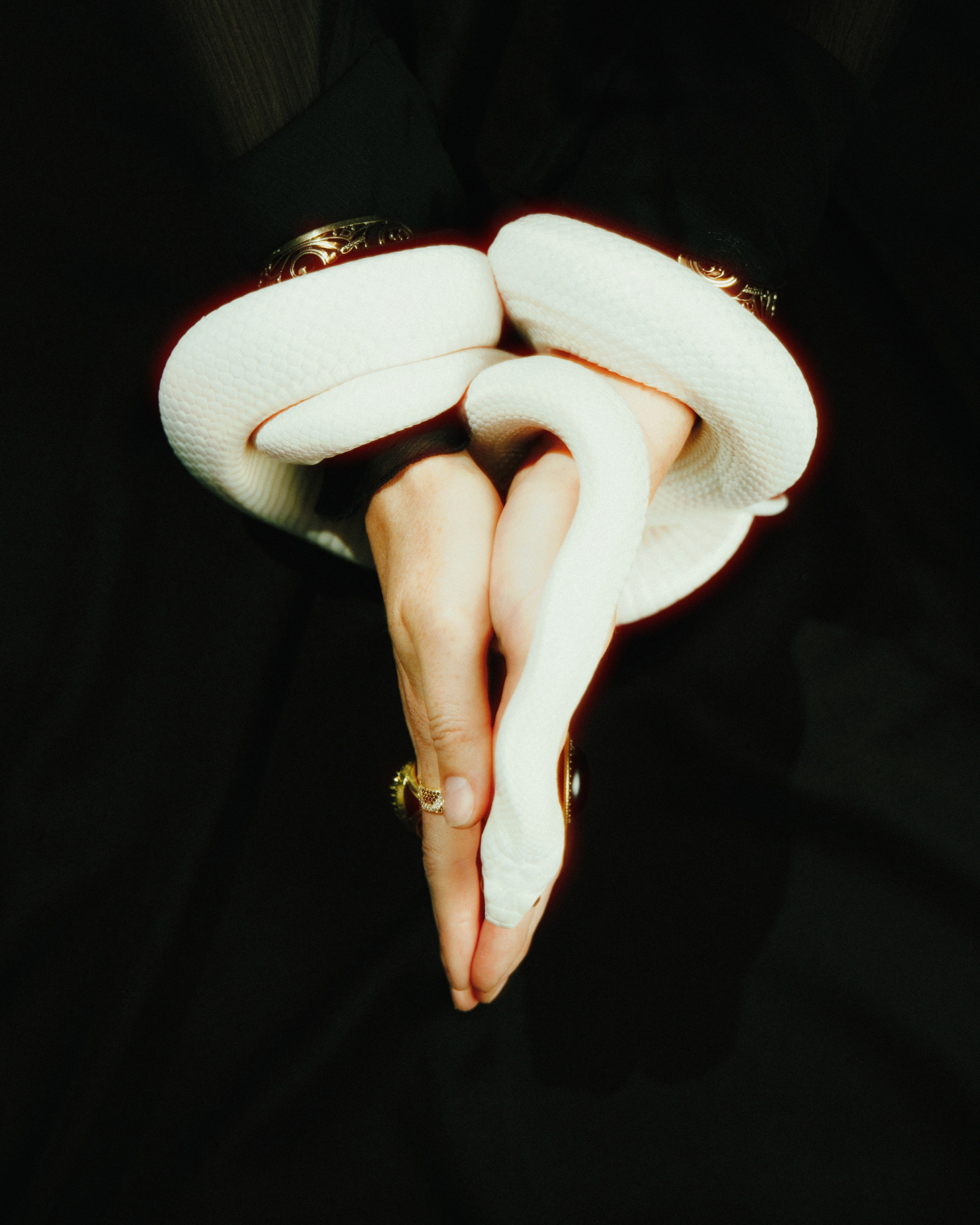 Портрет Медузы Горгоны. Commercial photographer | Anton Ermakov