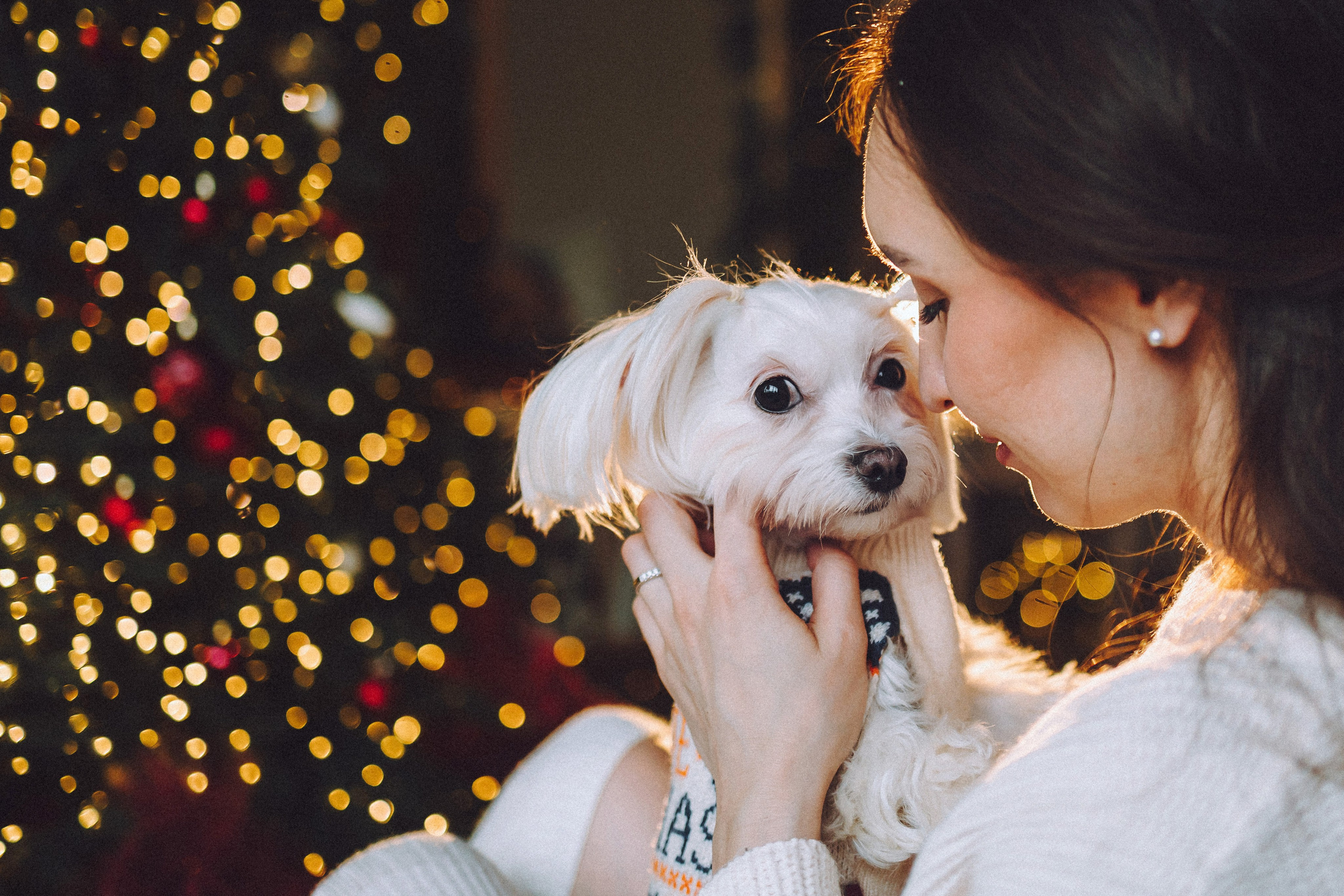 Констанция и Молли