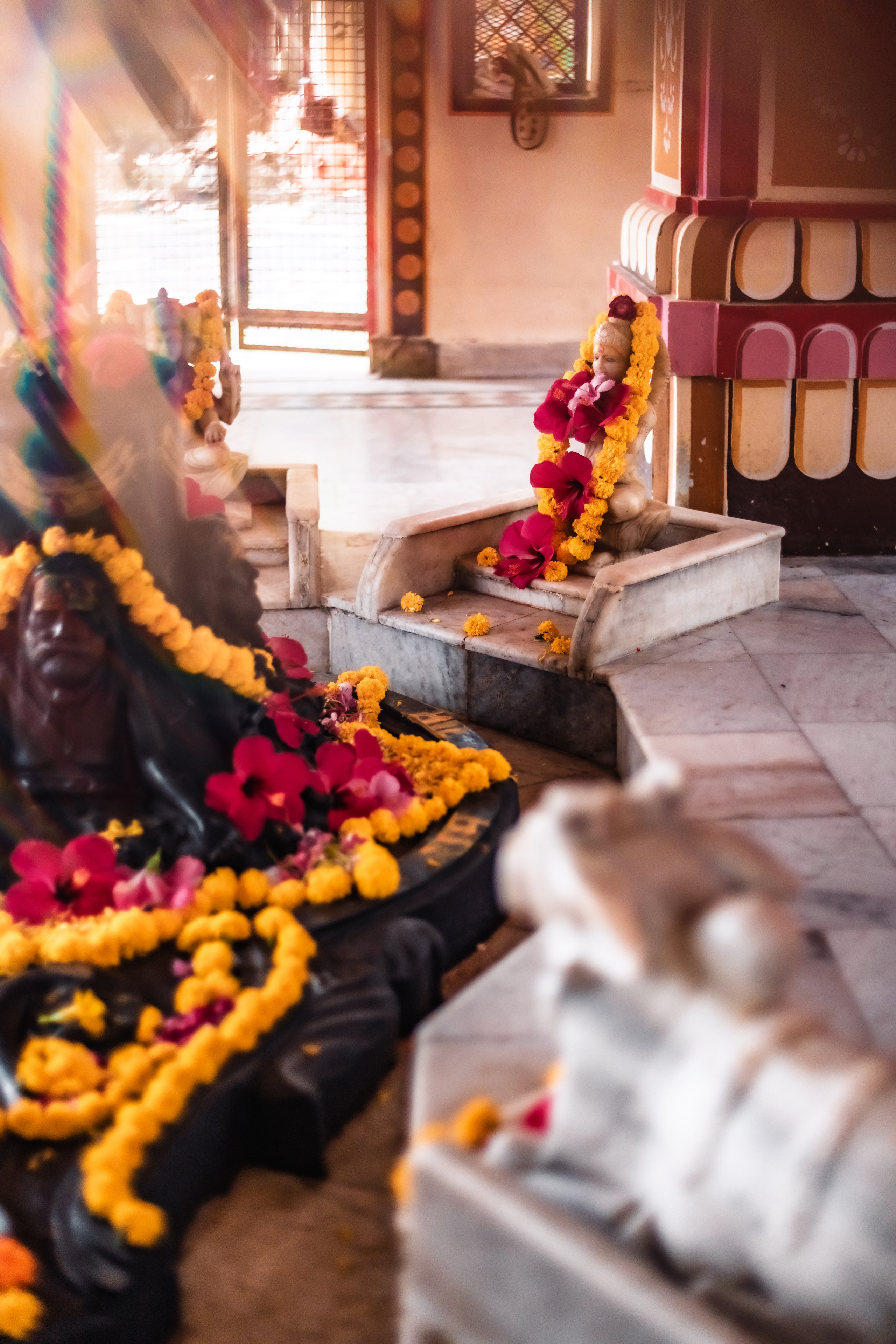 Devraha baba ji ashram life 2025. Mariam Bagdasaryan