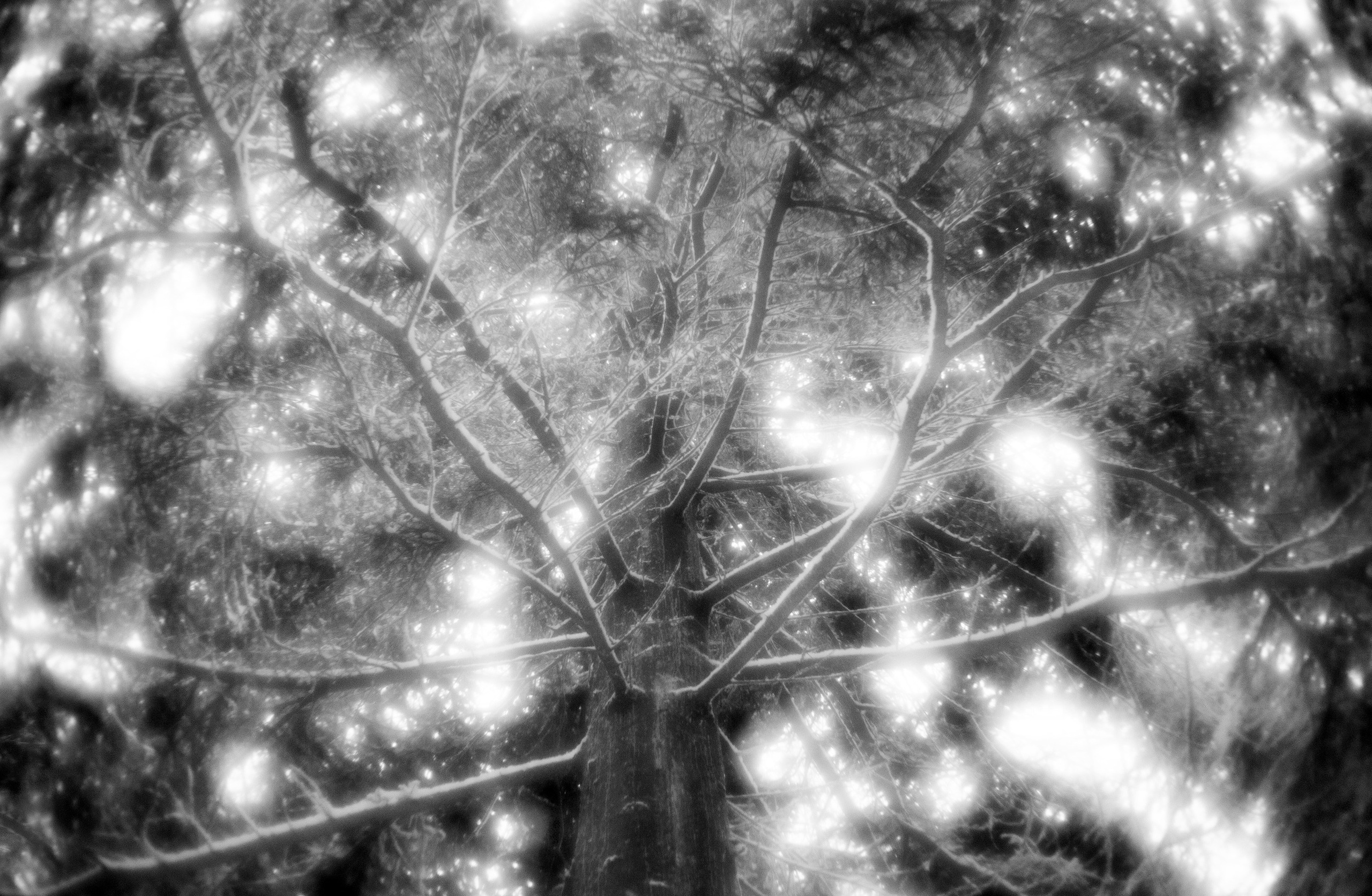 LUMEN DUO Art photography for interiors
