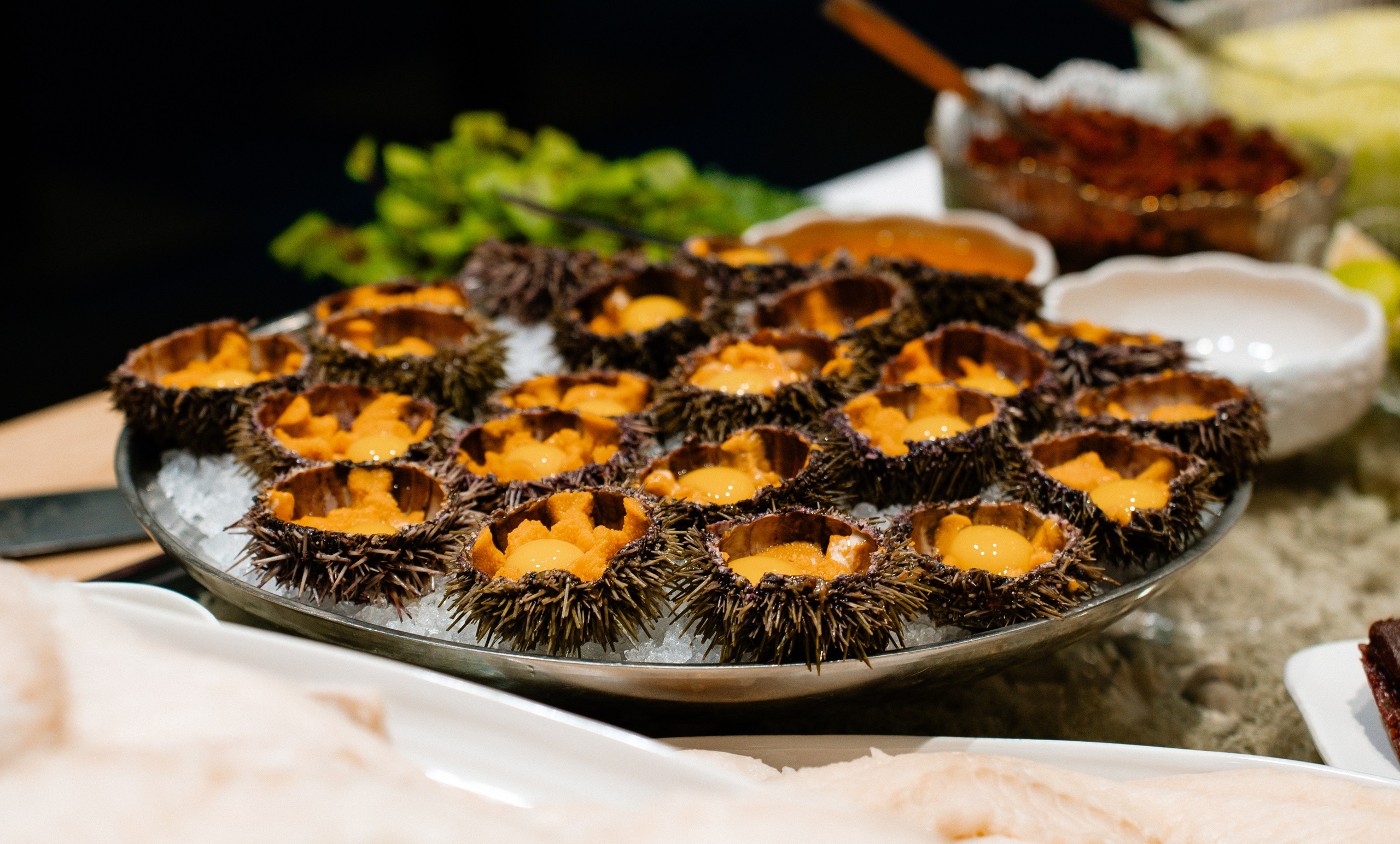 Гастротур. Туманов Кирилл Фото, видео и аэросъемка в Мурманской области