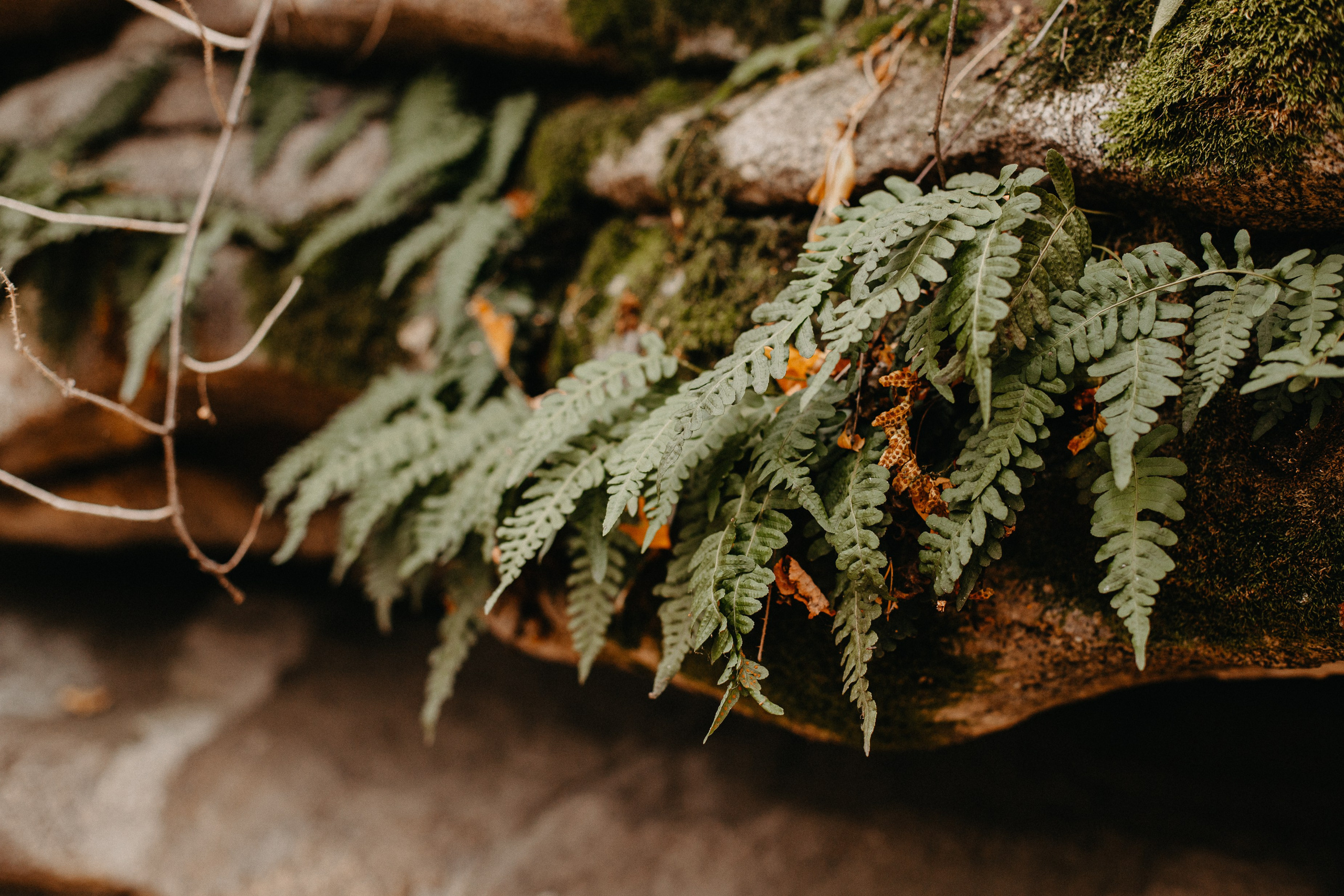 Семь Братьев. Семейный фотограф Трусова Евгения в Екатеринбурге