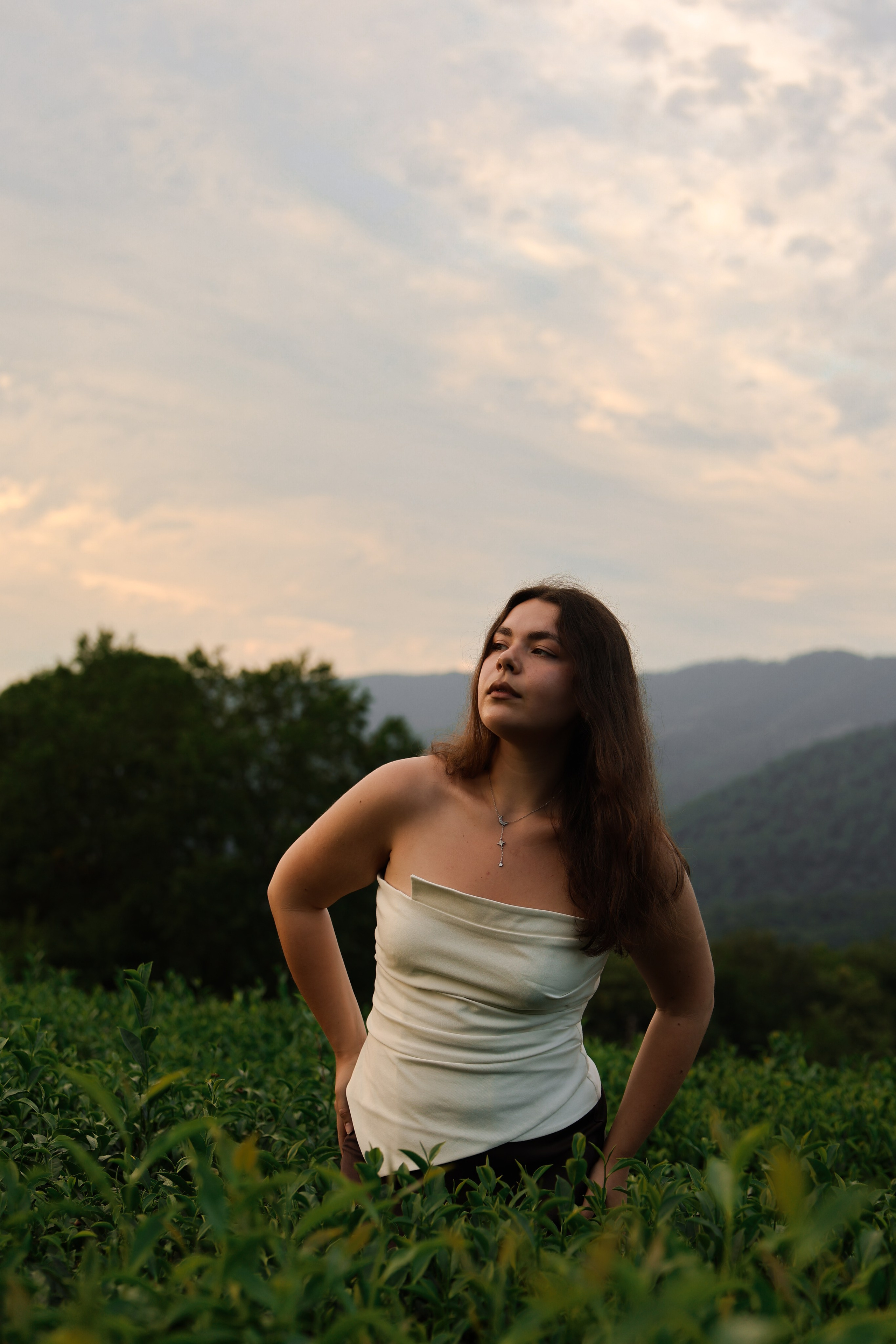 ЧАЙНЫЕ ПЛАНТАЦИИ. Фотограф Москва Оля Олбимак
