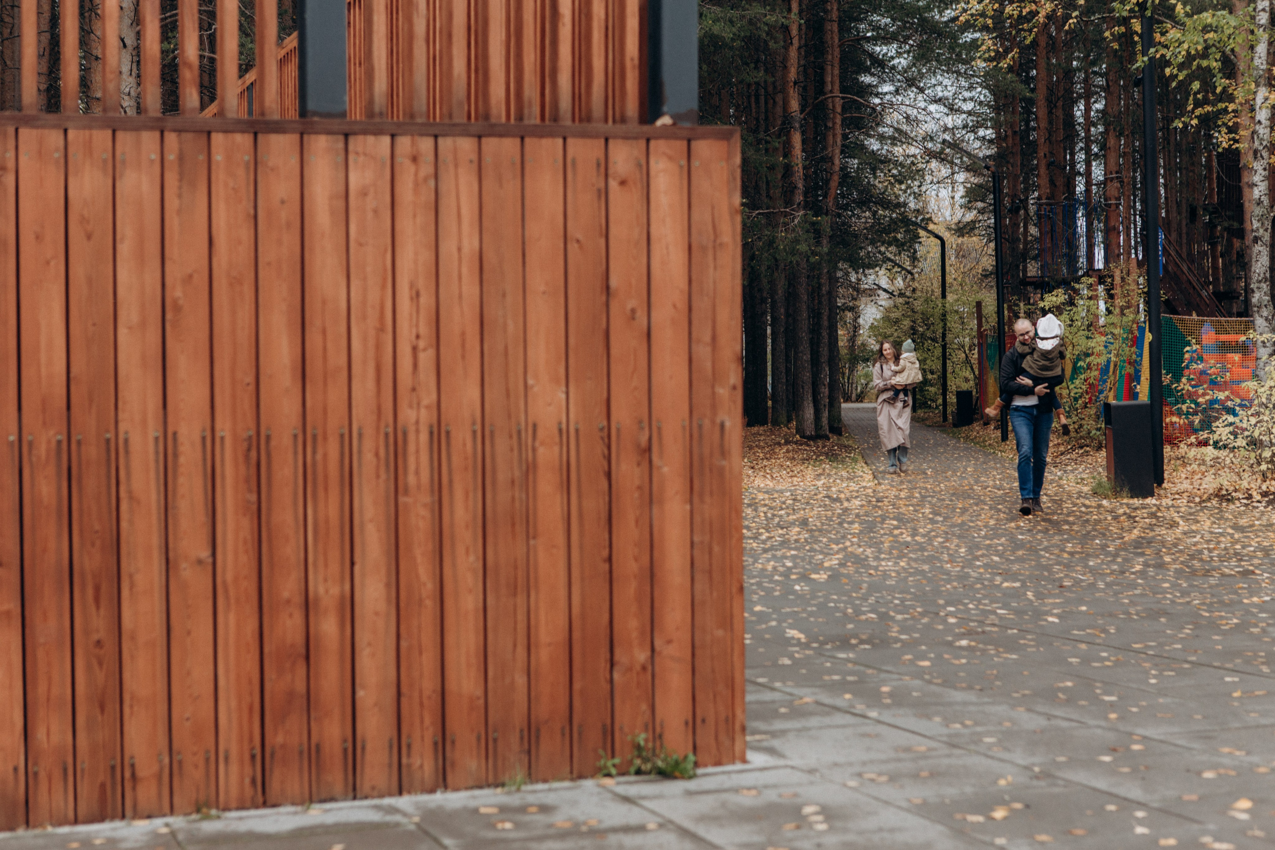 «Осенние лучики». Фотограф в Ухте