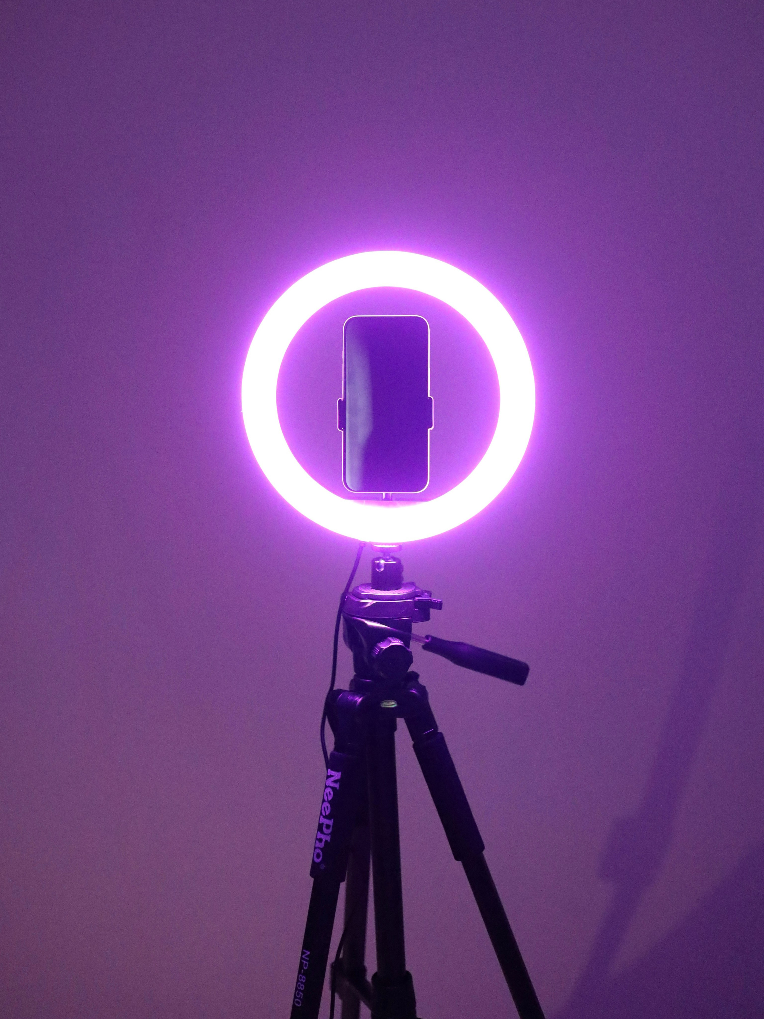 Предметная, каталог. Ваш универсальный фотограф Евгения Дунаевская