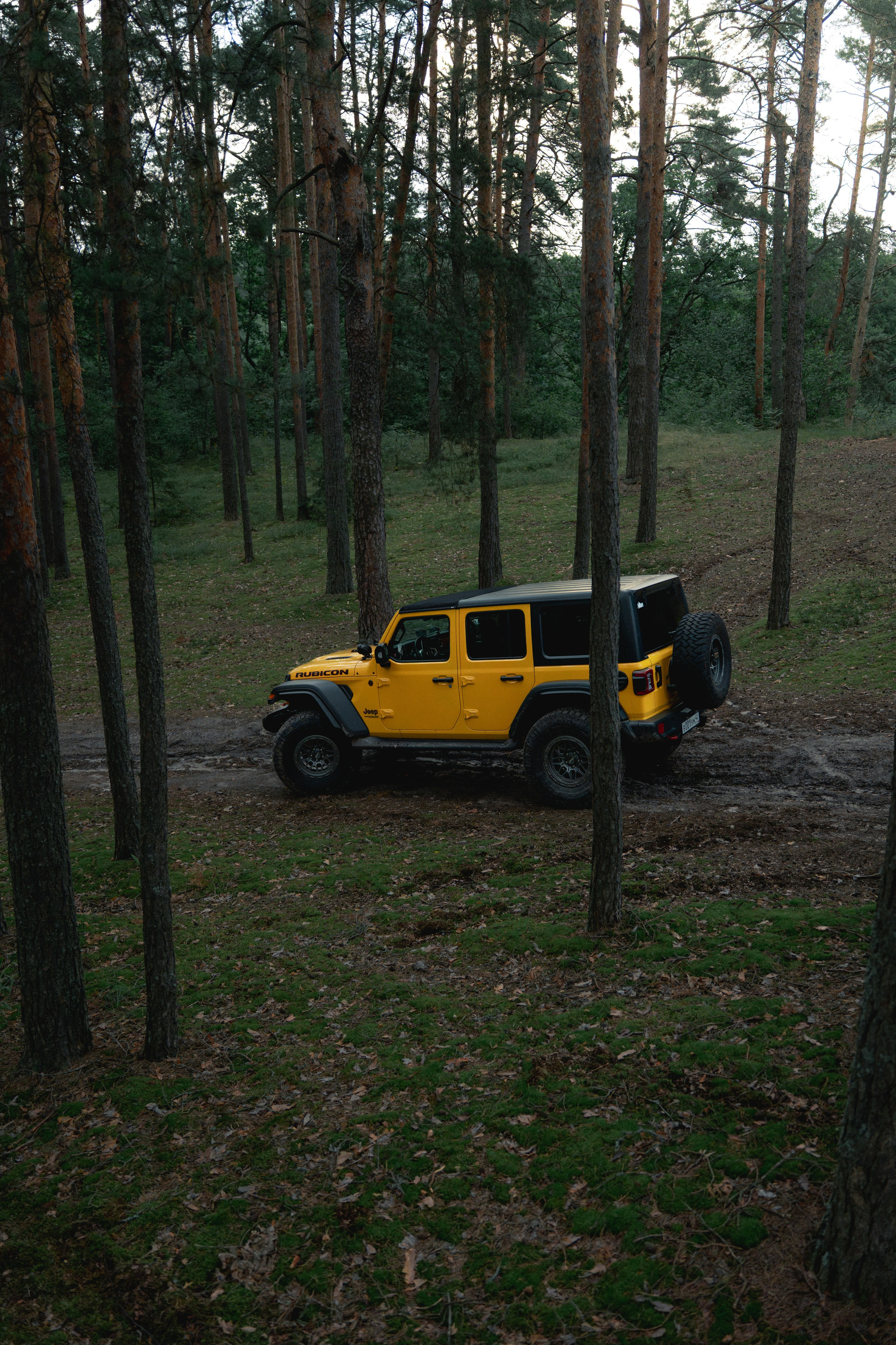 Фотографии Jeep Wrangler Rubicon
