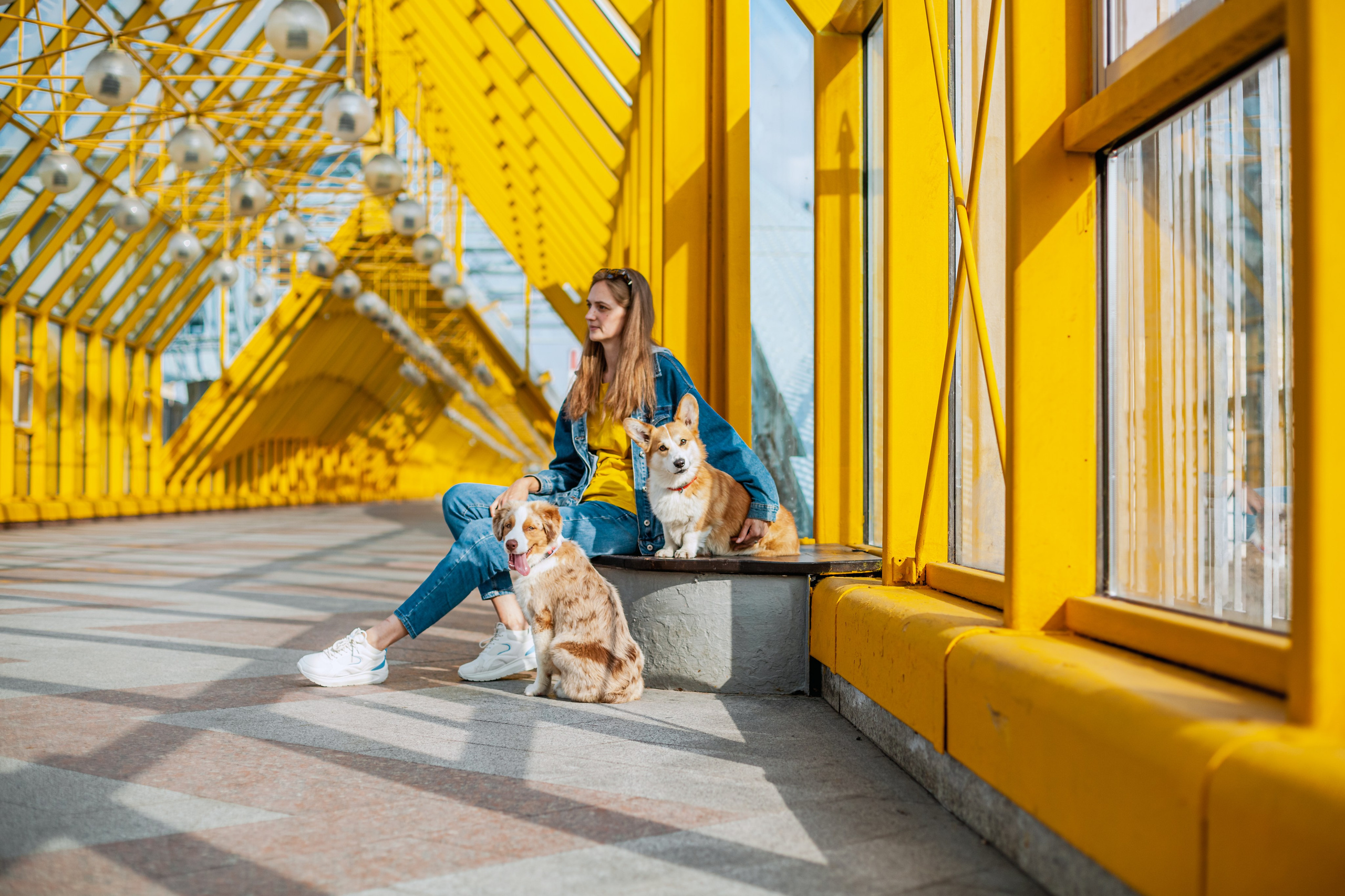 Андреевский мост. Фотограф-анималист Татьяна Степанова