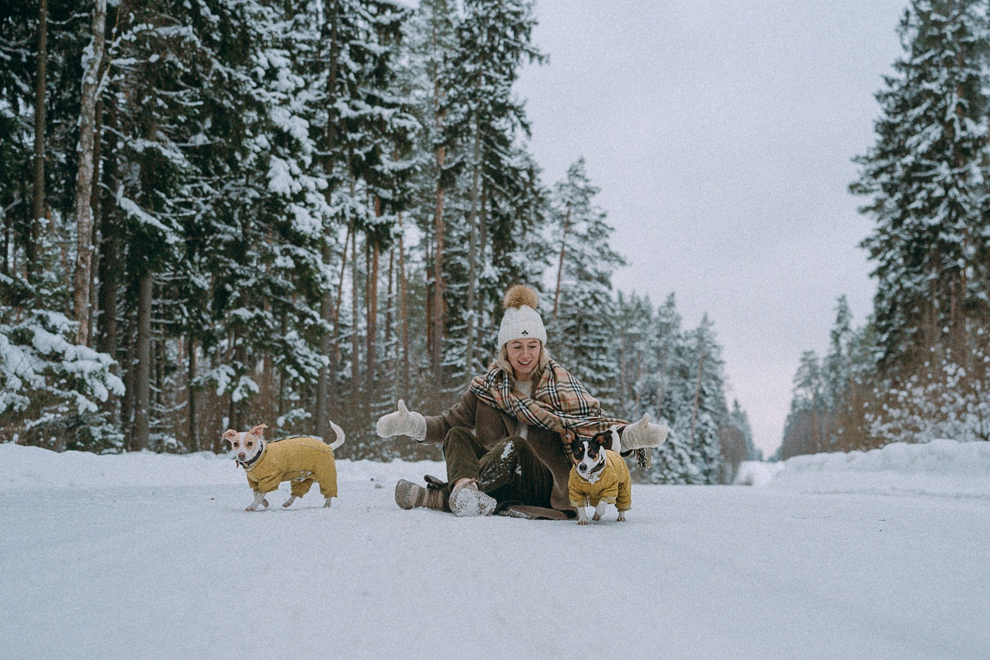 Алина, Ваниль и Элис. Фотограф анималист в Москве и Санкт-Петербурге Свиридова Анна