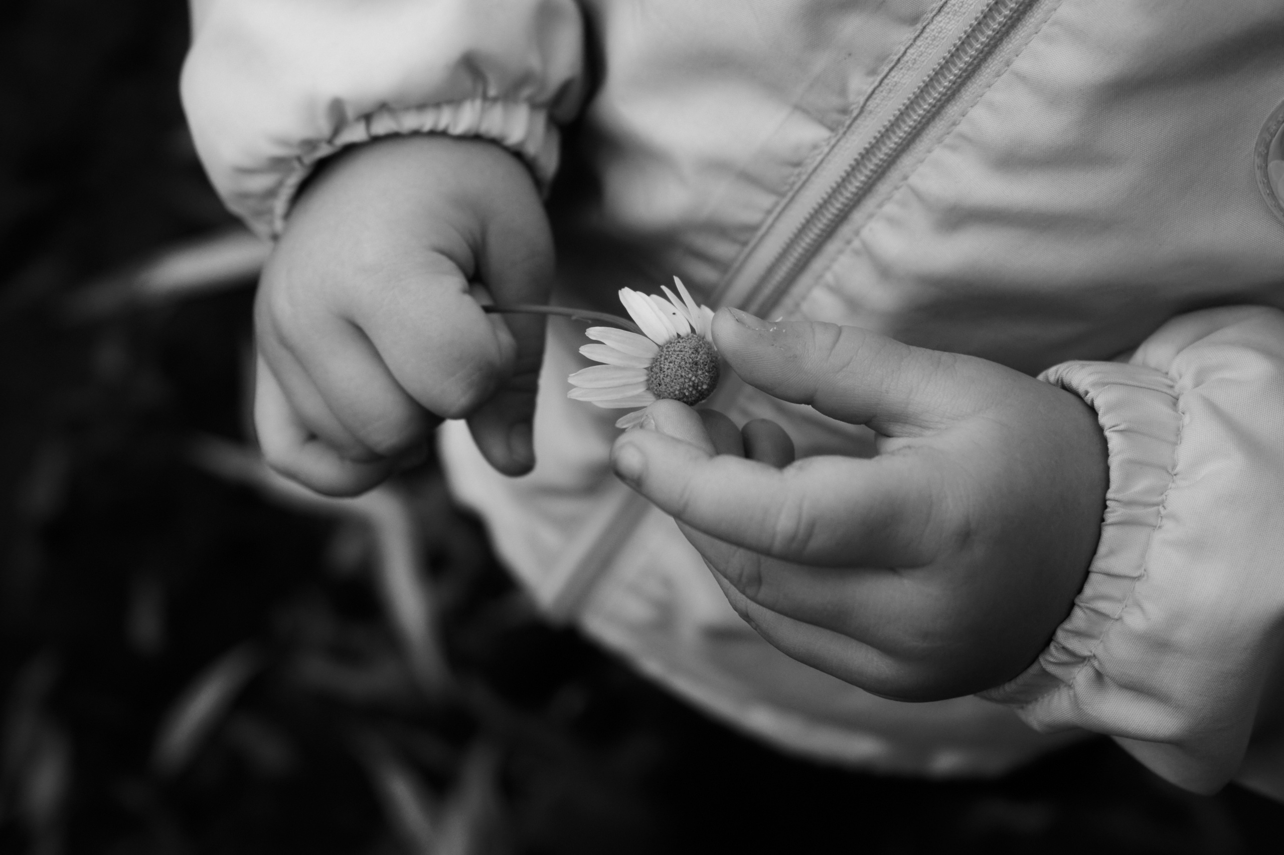 Яночка осень 2022. Кучерявая || Фотограф || Самара·Питер·Москва