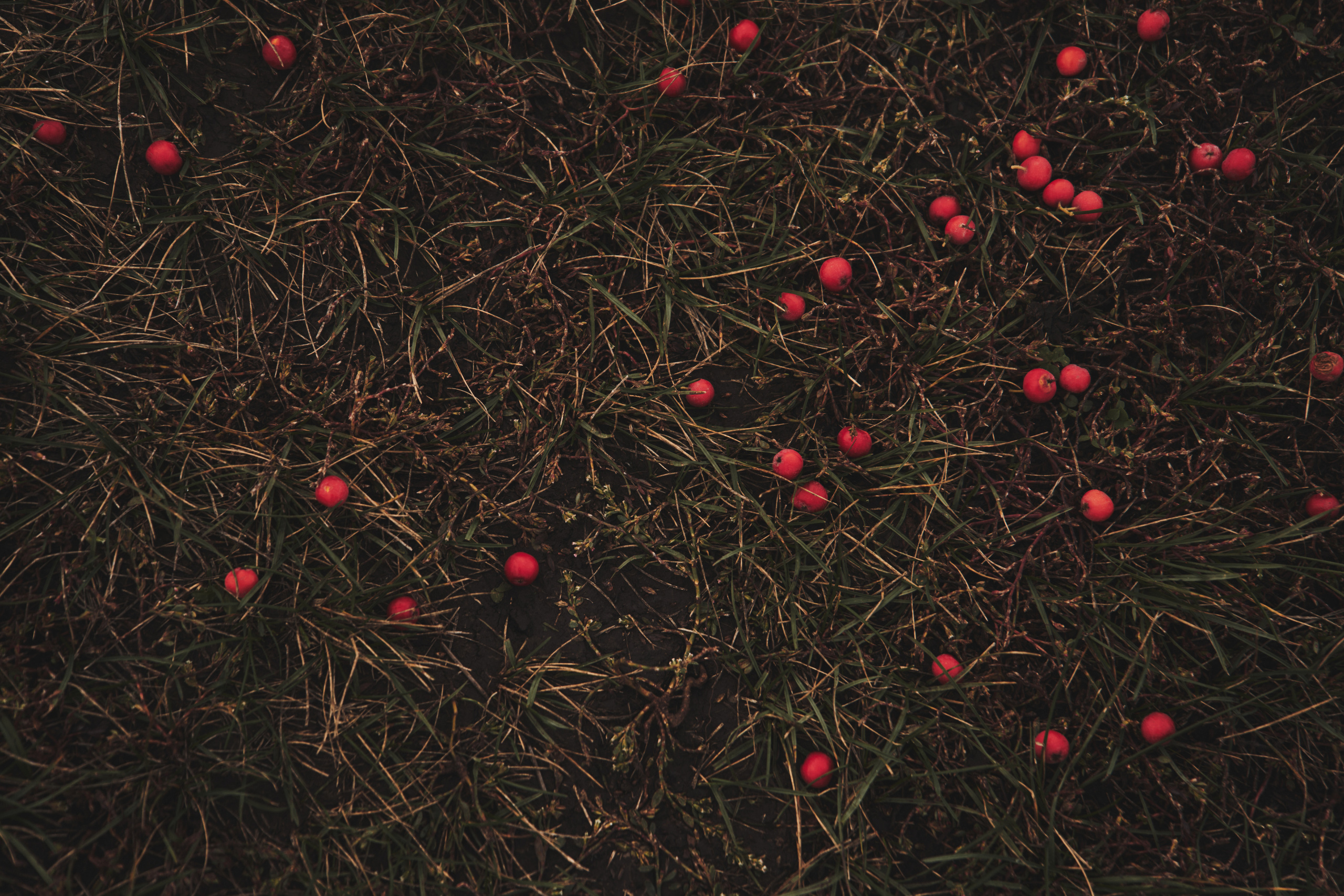 Яночка осень 2022. Кучерявая || Фотограф || Самара·Питер·Москва