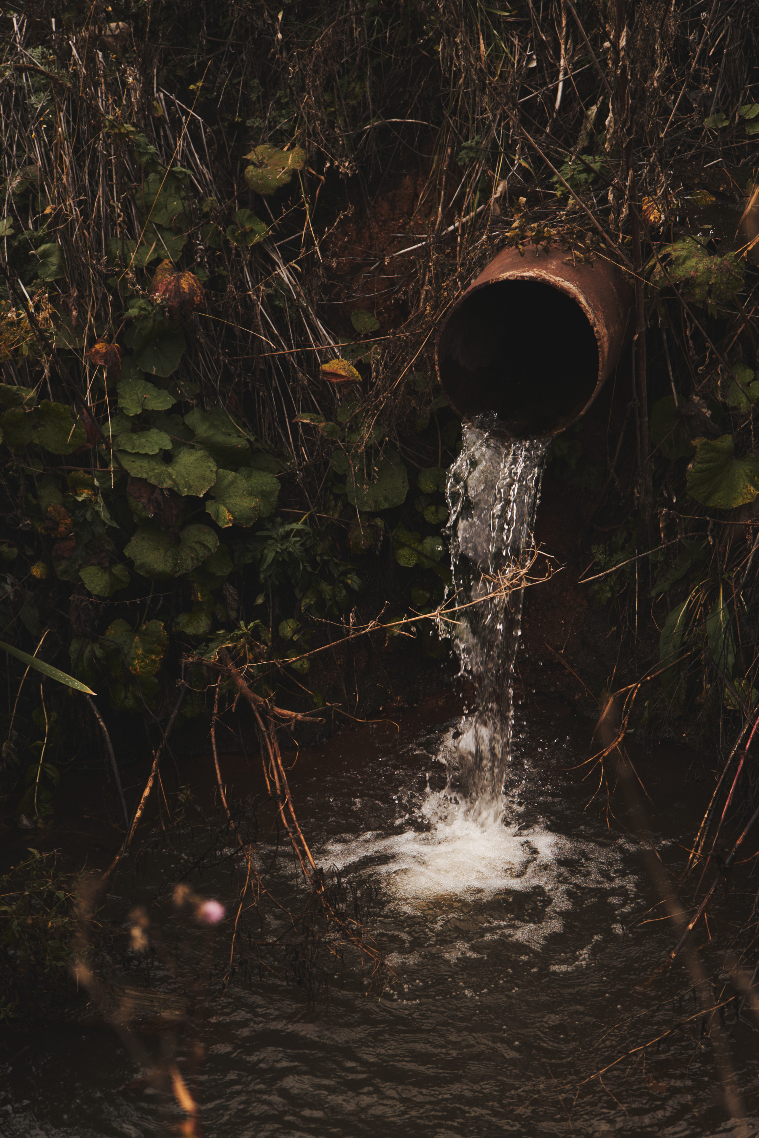 Яночка осень 2022. Кучерявая || Фотограф || Самара·Питер·Москва