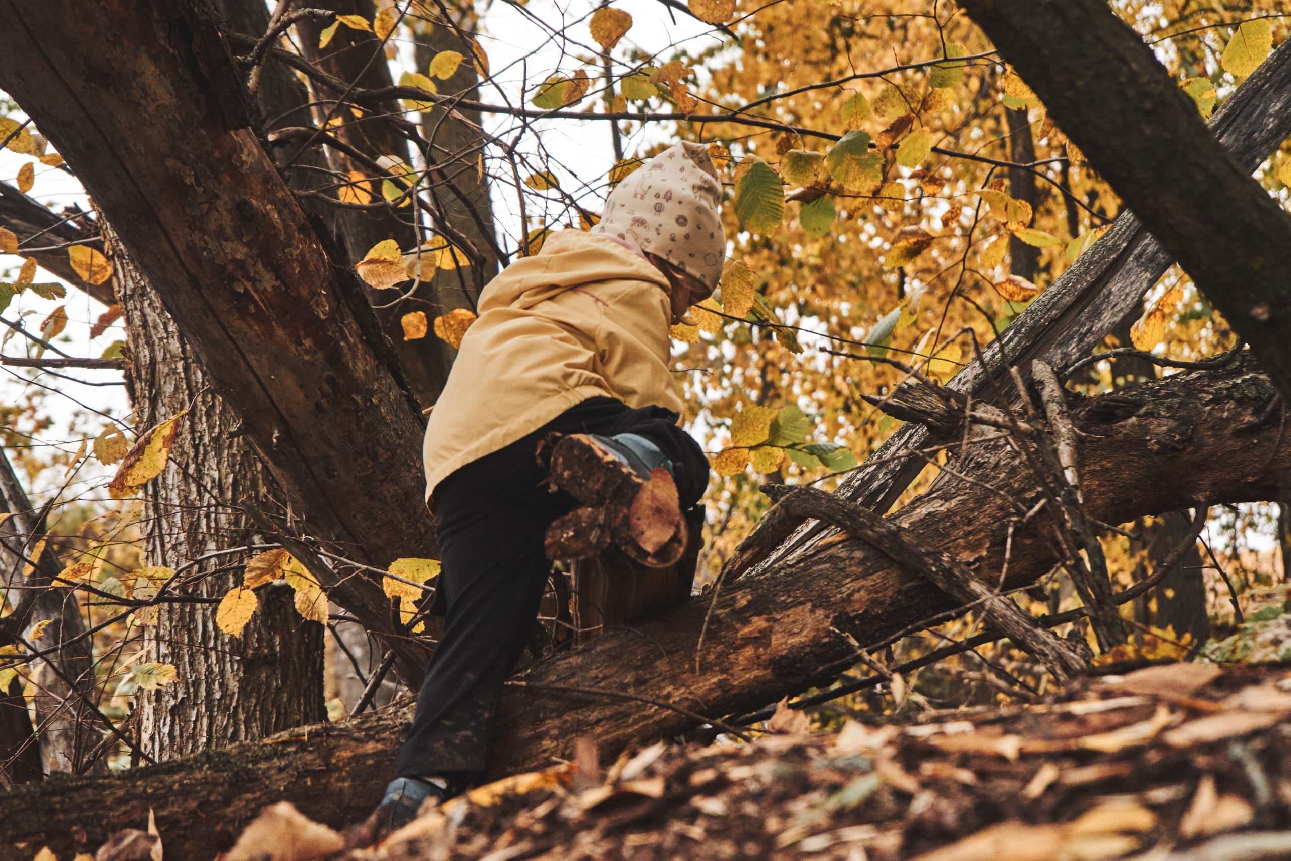 Яночка осень 2022. Кучерявая || Фотограф || Самара·Питер·Москва
