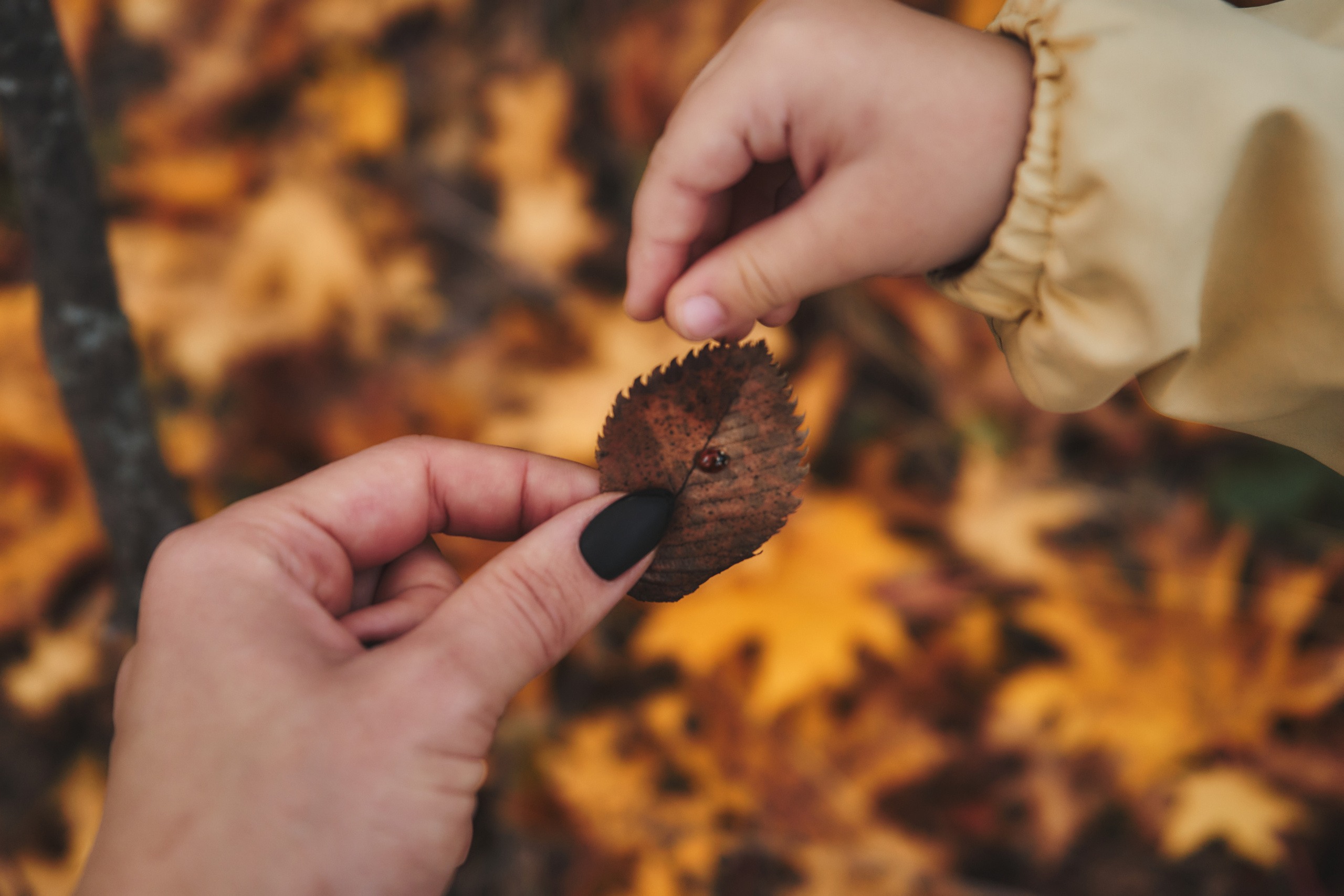 Яночка осень 2022. Кучерявая || Фотограф || Самара·Питер·Москва