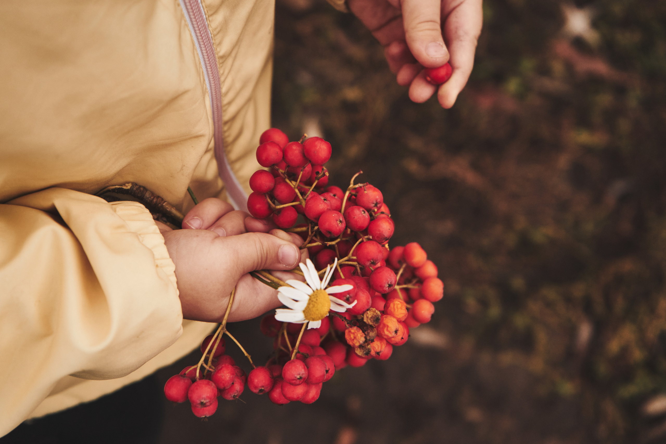Яночка осень 2022. Кучерявая || Фотограф || Самара·Питер·Москва