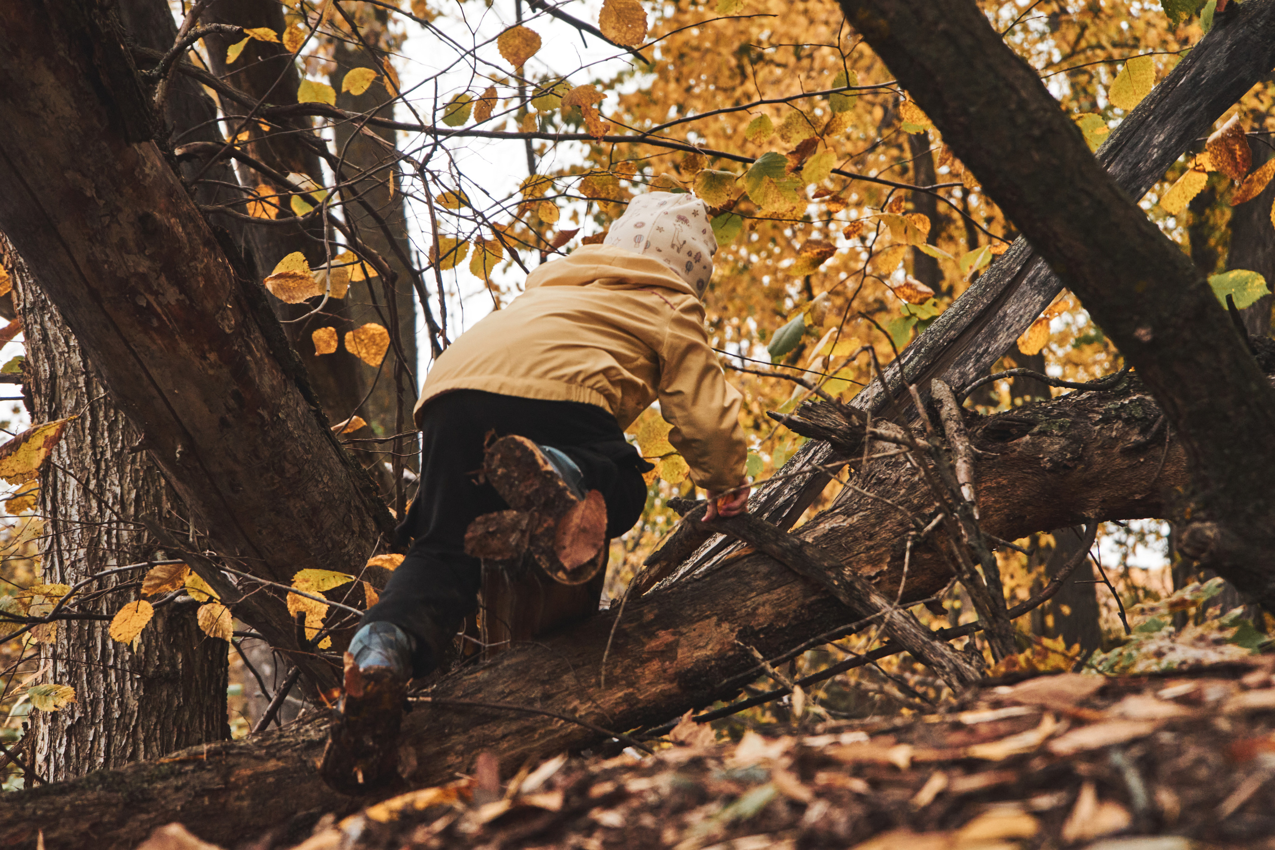 Яночка осень 2022. Кучерявая || Фотограф || Самара·Питер·Москва