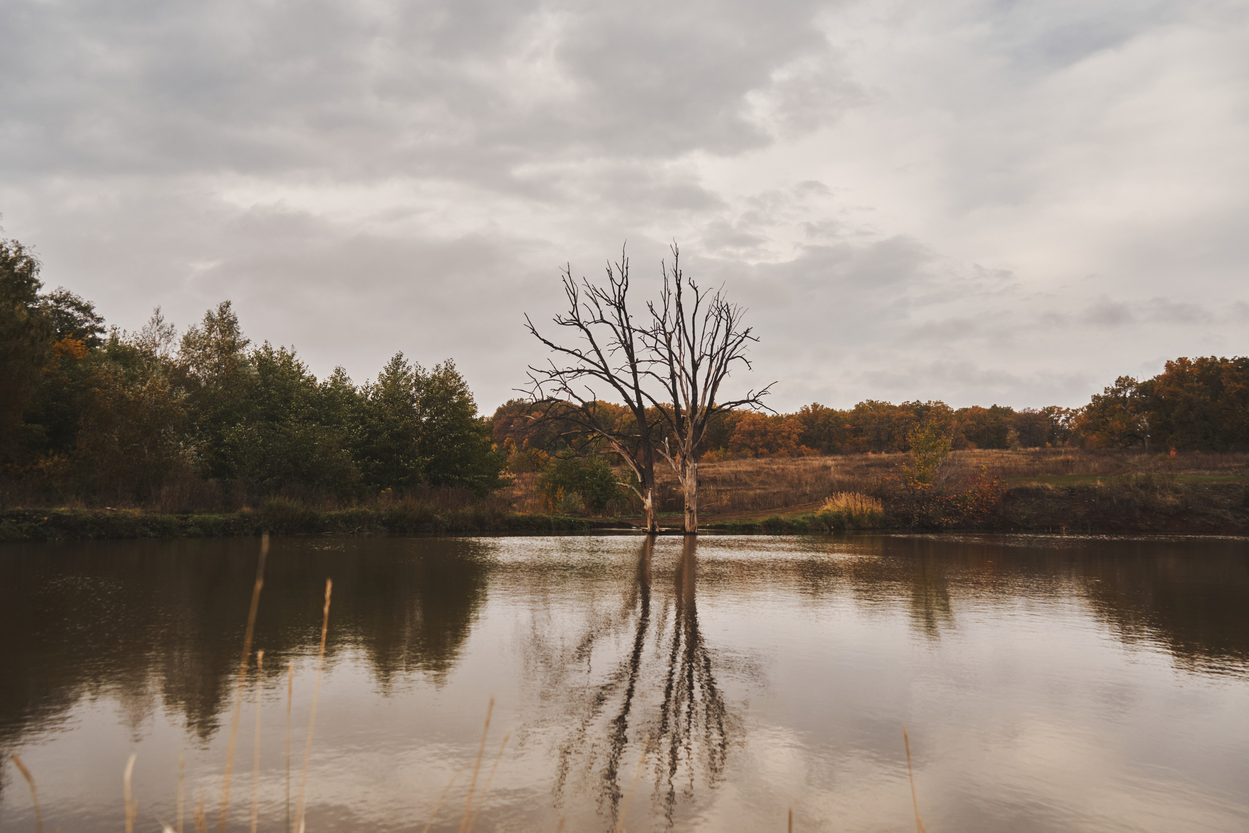 Яночка осень 2022. Кучерявая || Фотограф || Самара·Питер·Москва