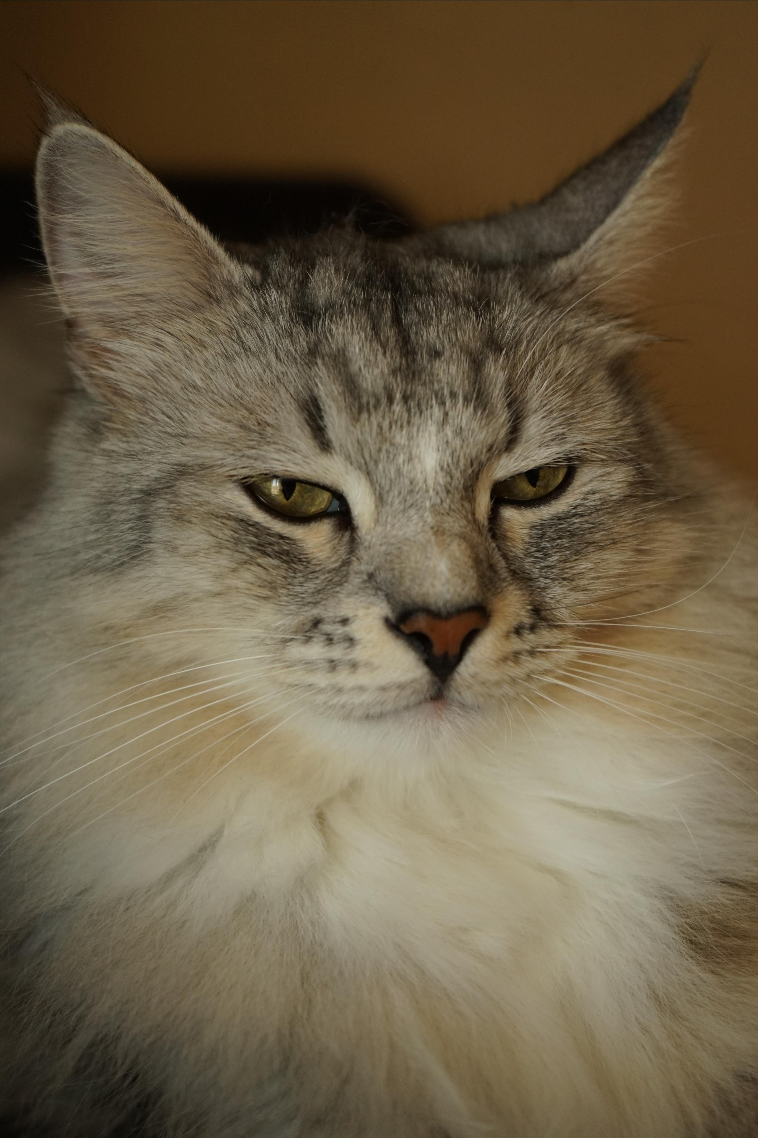 Семья фото на печать. Кучерявая || Фотограф || Самара·Питер·Москва