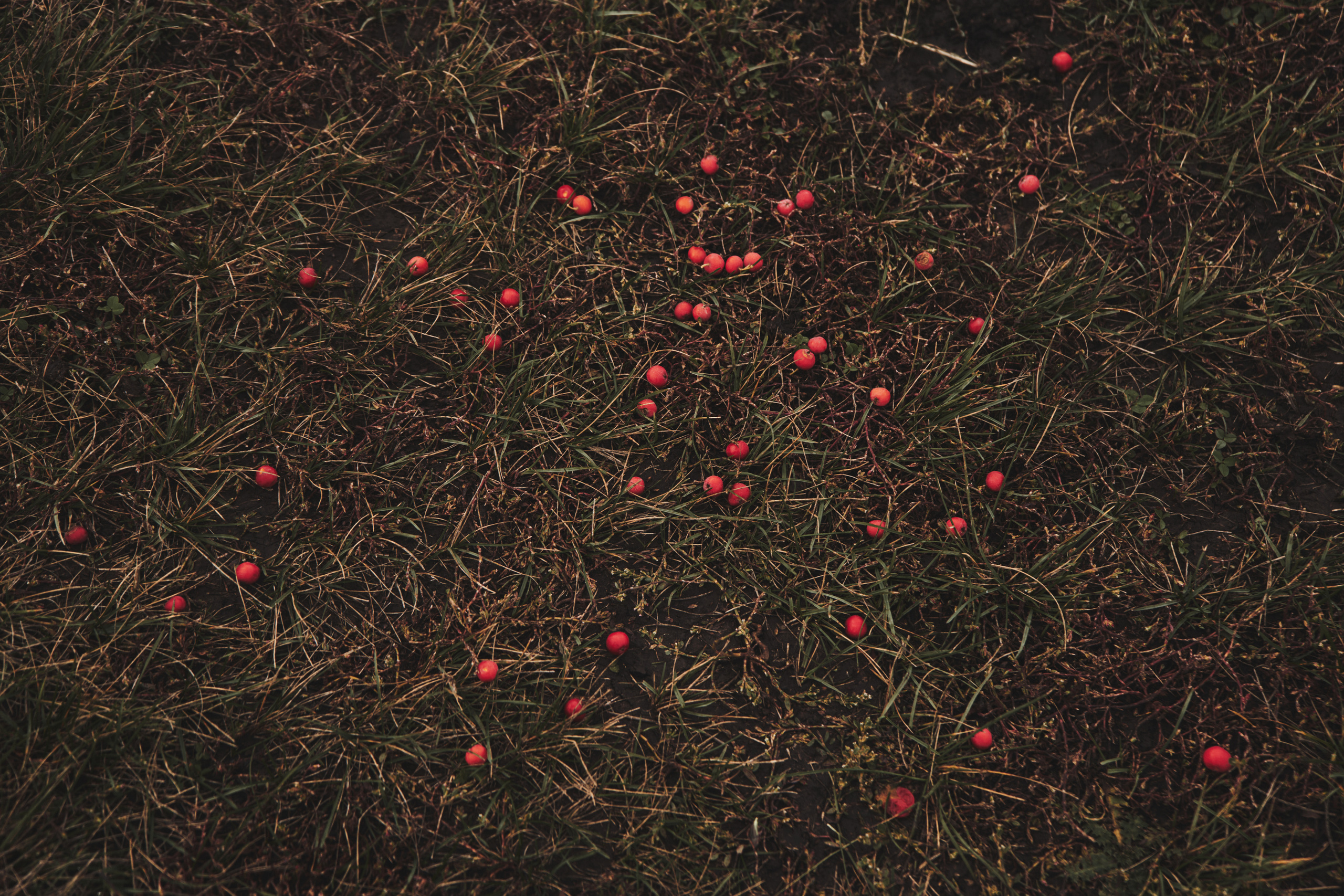 Яночка осень 2022. Кучерявая || Фотограф || Самара·Питер·Москва