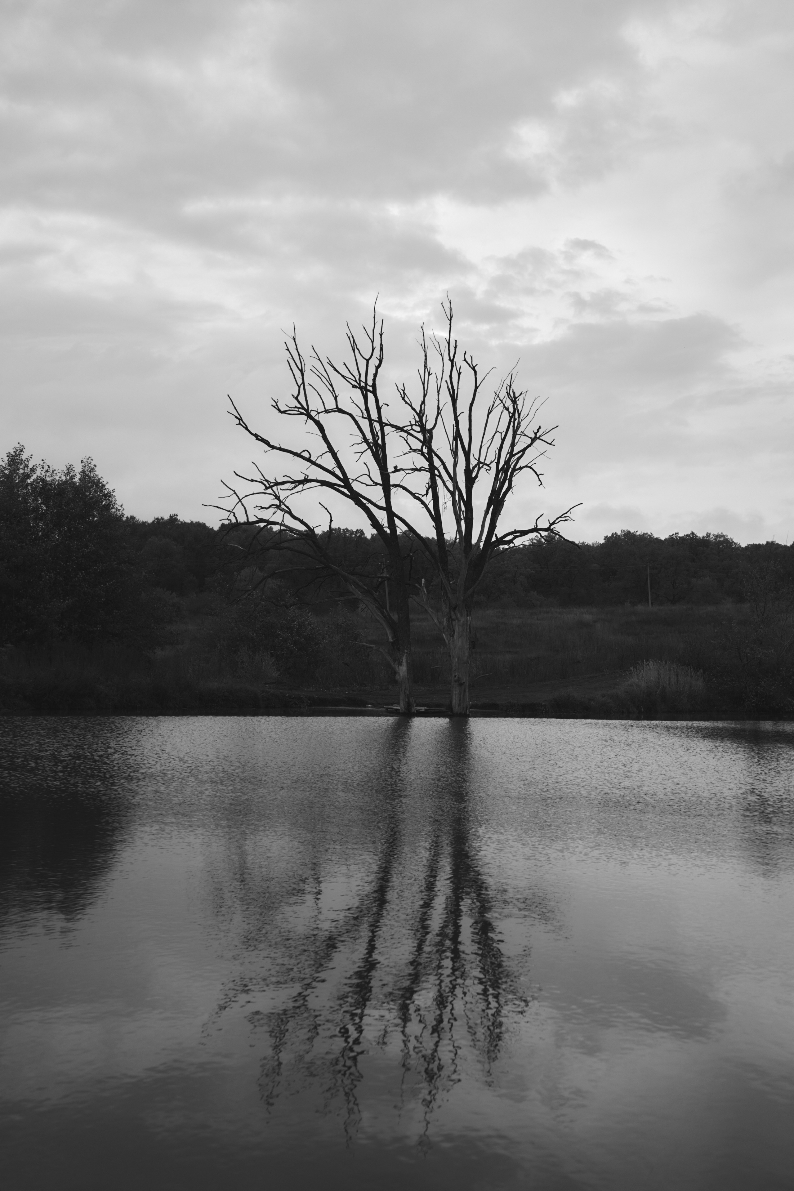 Яночка осень 2022. Кучерявая || Фотограф || Самара·Питер·Москва