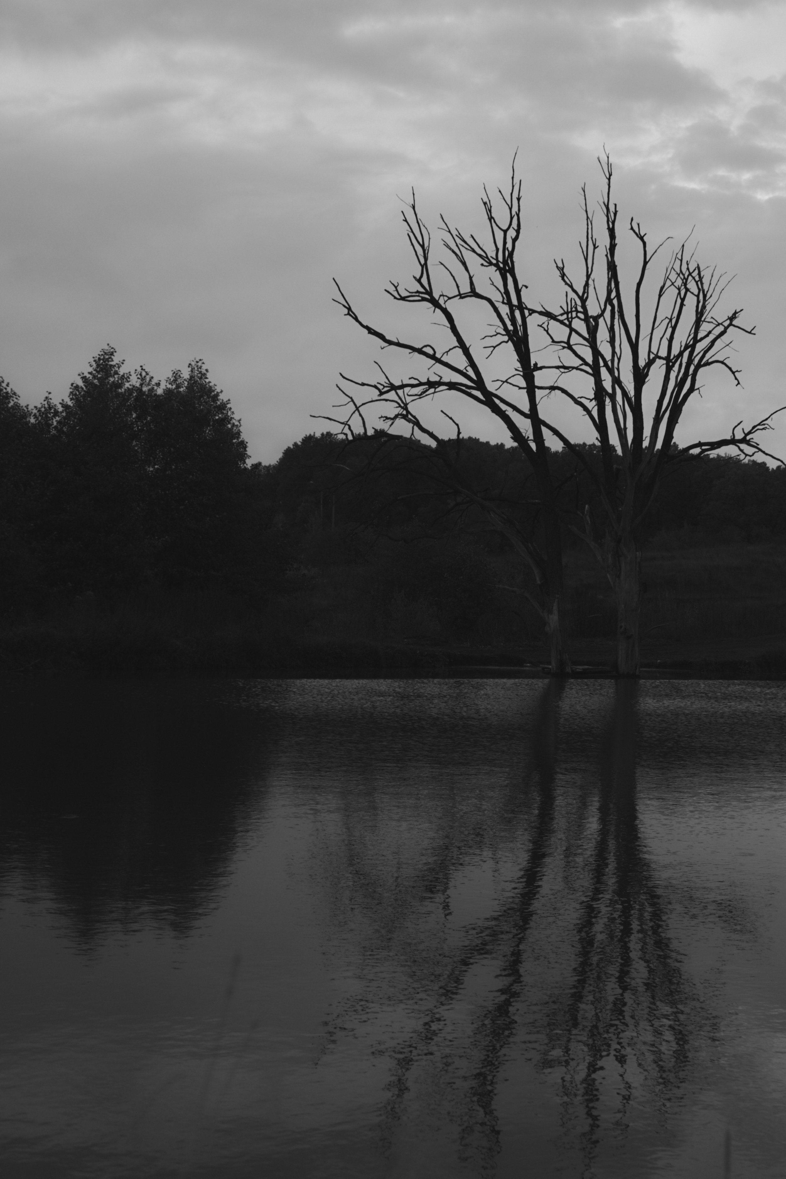 Яночка осень 2022. Кучерявая || Фотограф || Самара·Питер·Москва