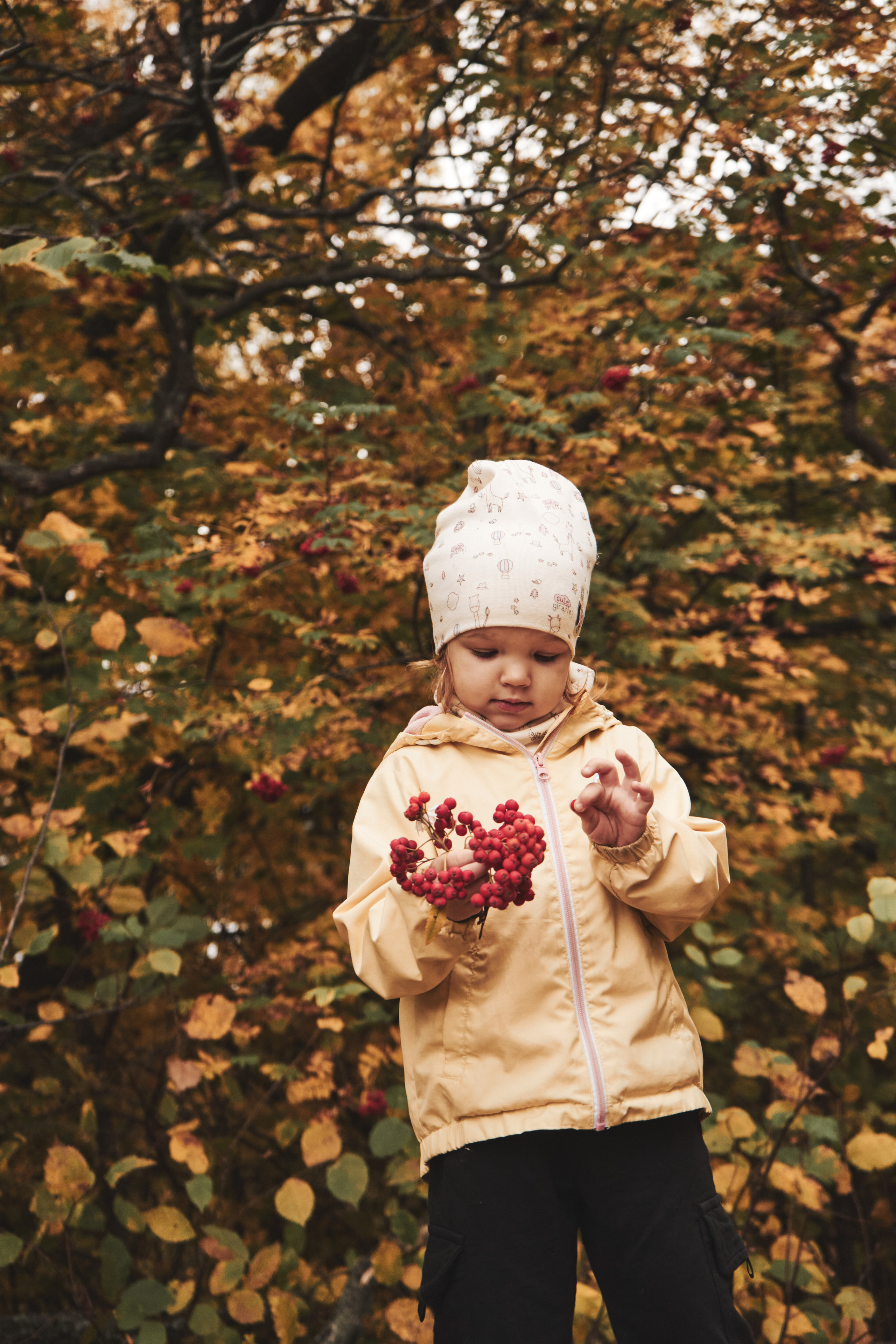 Яночка осень 2022. Кучерявая || Фотограф || Самара·Питер·Москва
