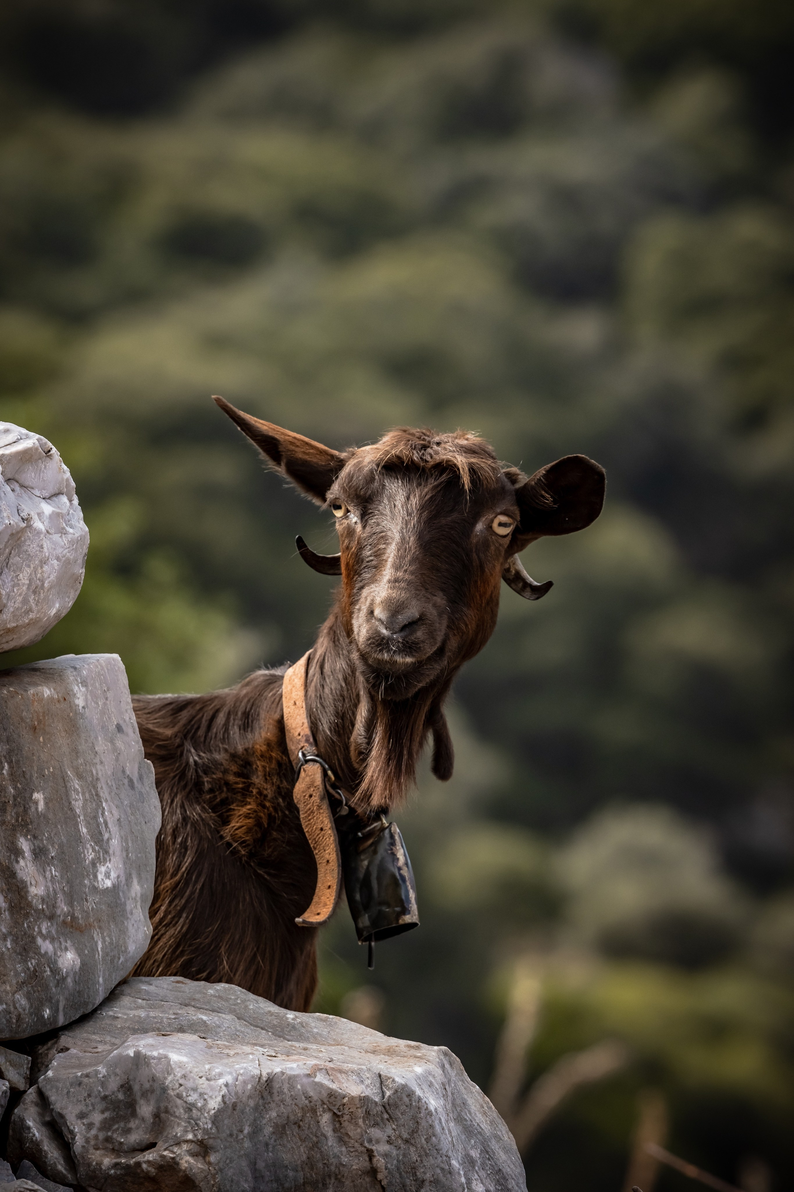 TRAVEL&NATURE. NE Cinema — backstage and reportage photography in cinema, music, Automotive and sport