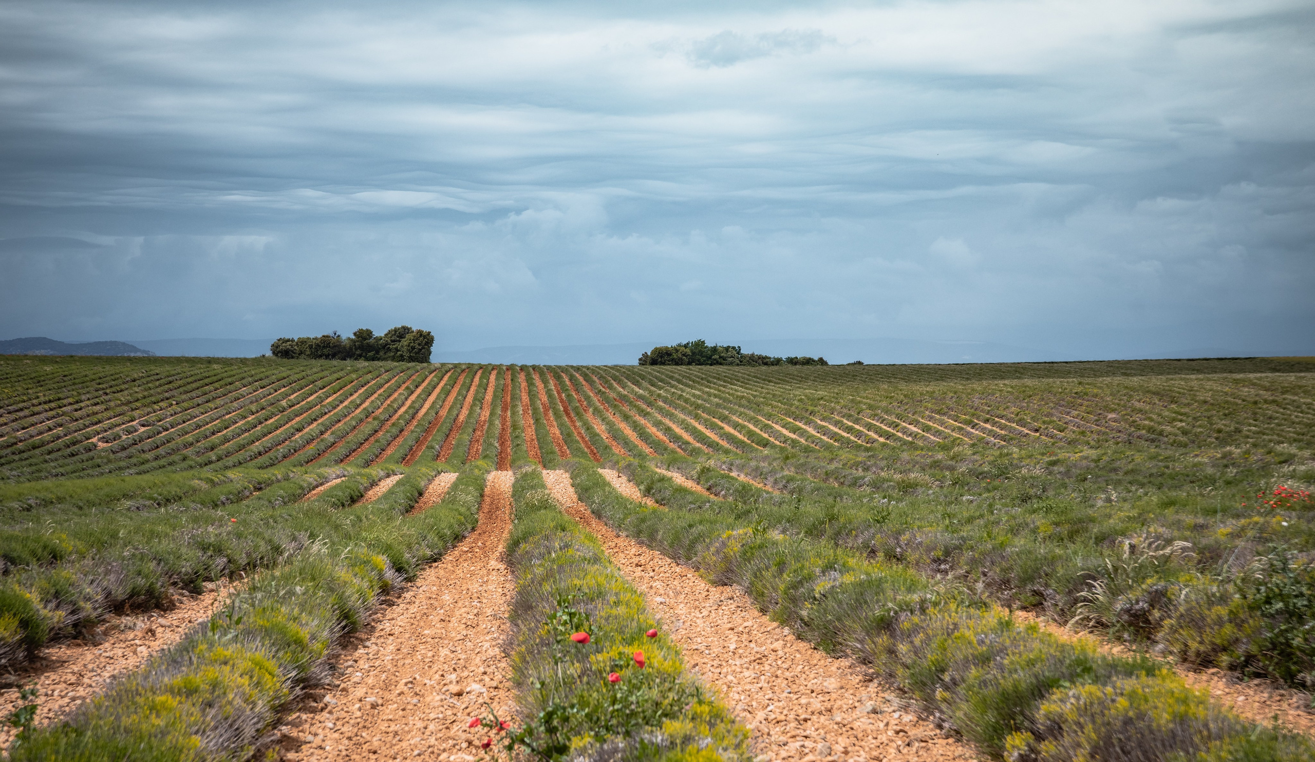 TRAVEL&NATURE. NE Cinema — backstage and reportage photography in cinema, music, Automotive and sport