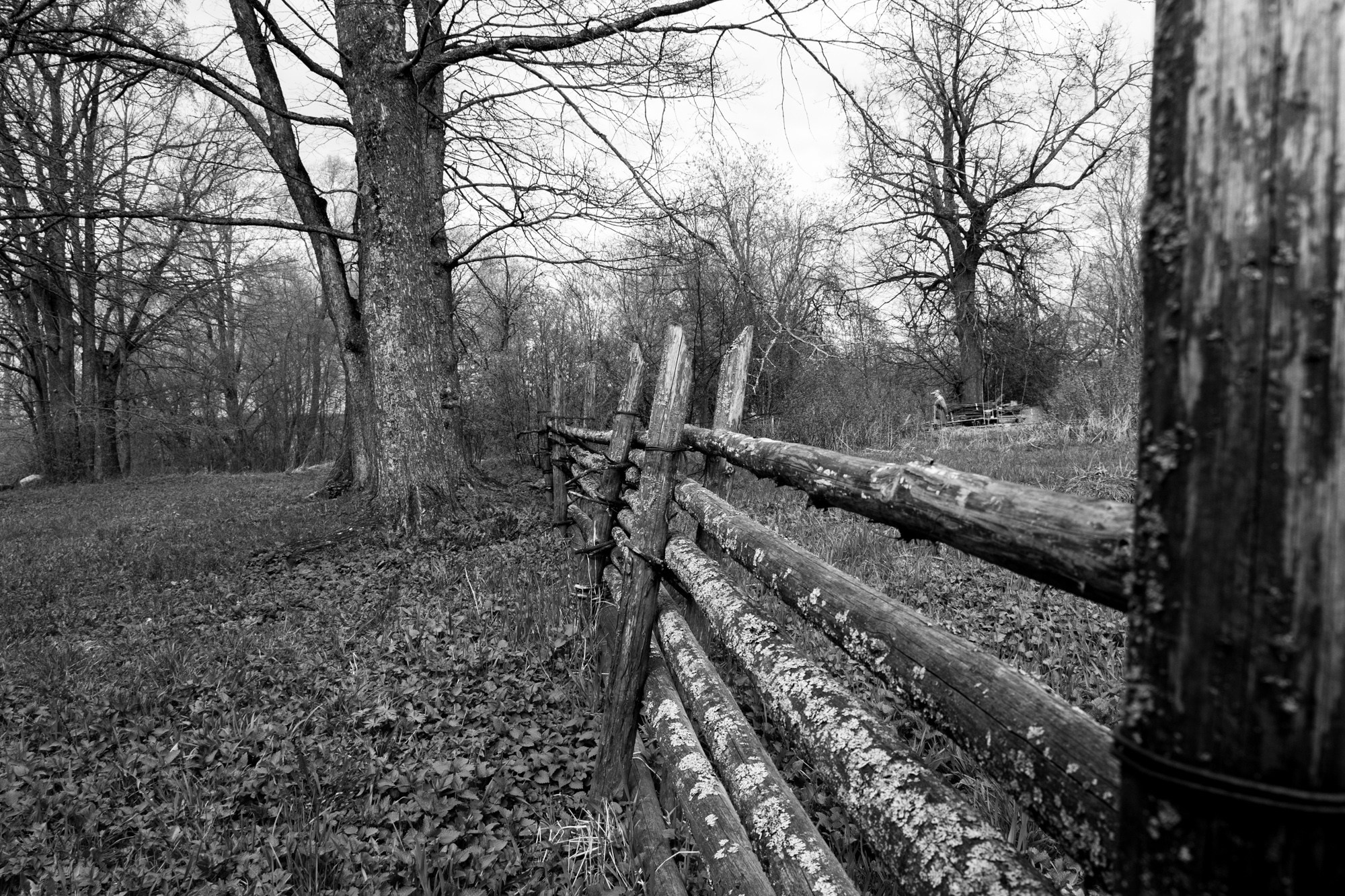 Новгород. Фотограф Алексей Скоробогатько