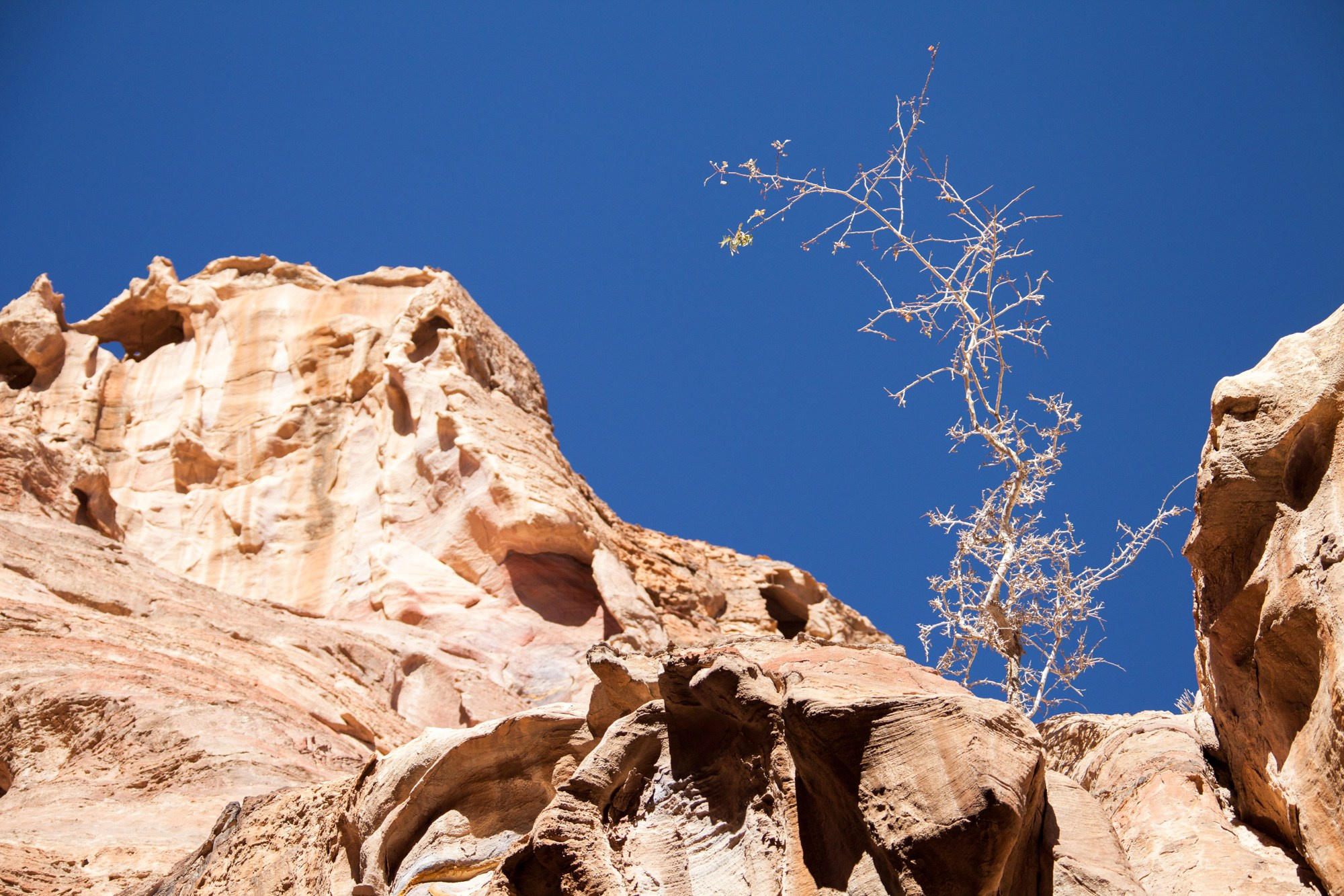 Иордания. Фотограф Алексей Скоробогатько