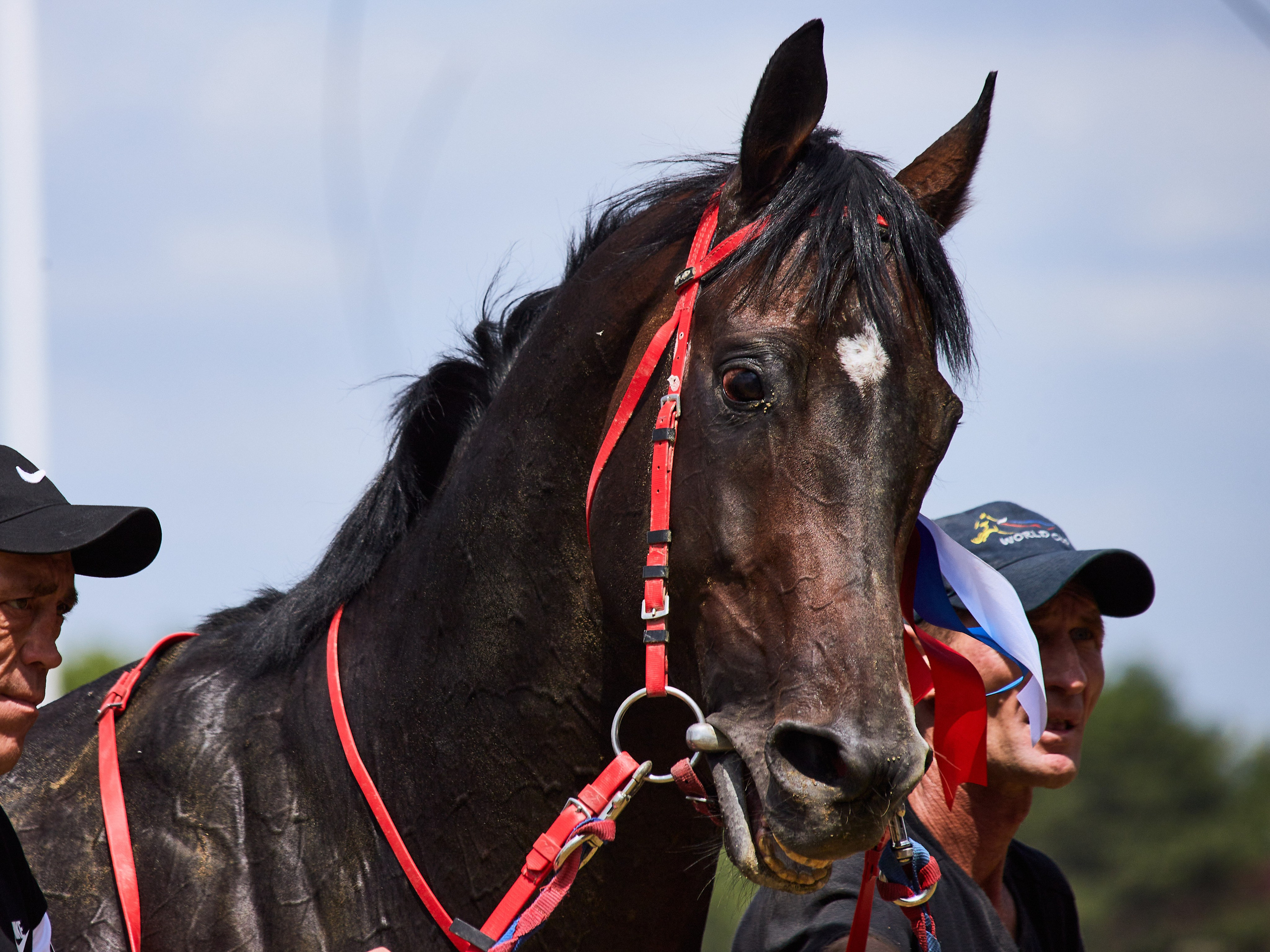 Скачки. Фотограф Юлия Маринина