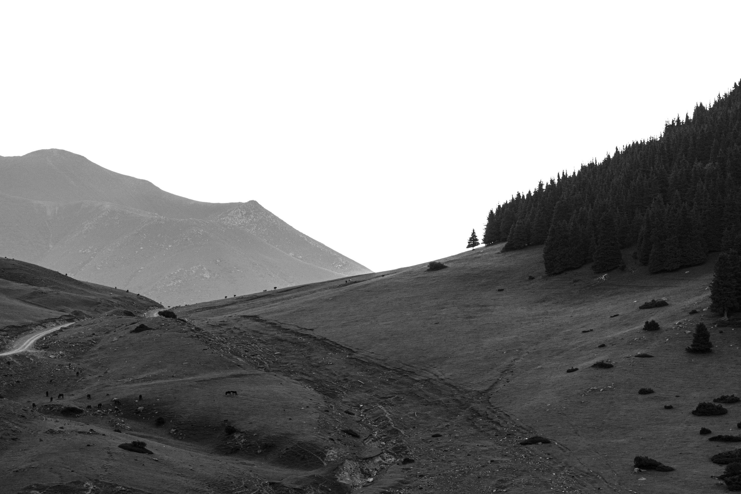 Что там, за горой. Татьяна Корчагина. Фотограф, художник. Обучение фотографии