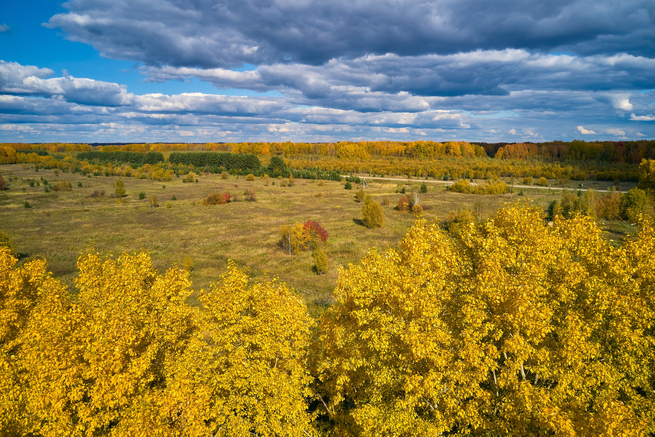 Съемка в полете. DMITRY MOISEENKO — фотограф, художник, топ-стилист