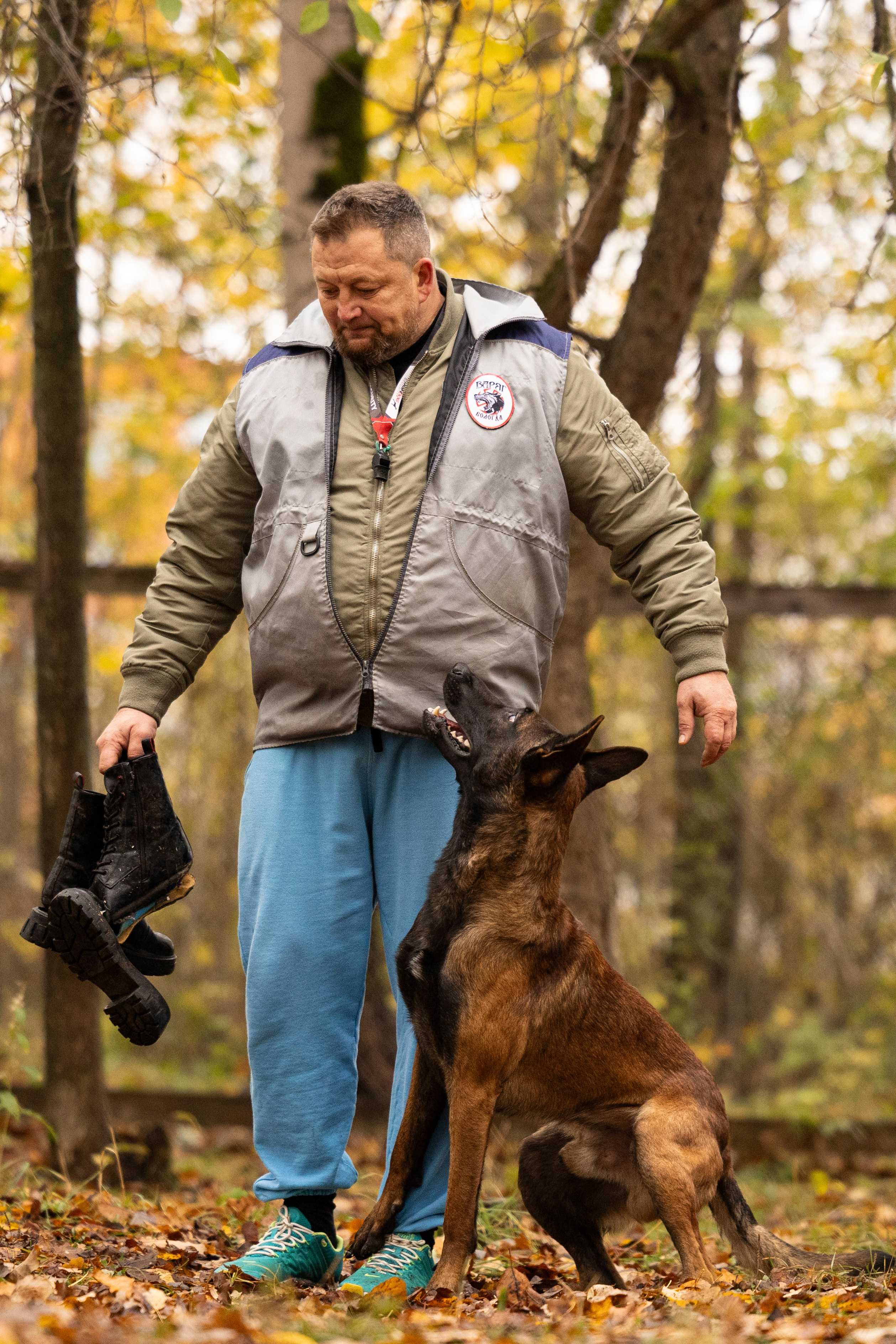 Соревнования по Мондьорингу г. Вологда. Фотограф-анималист Анна Маринич