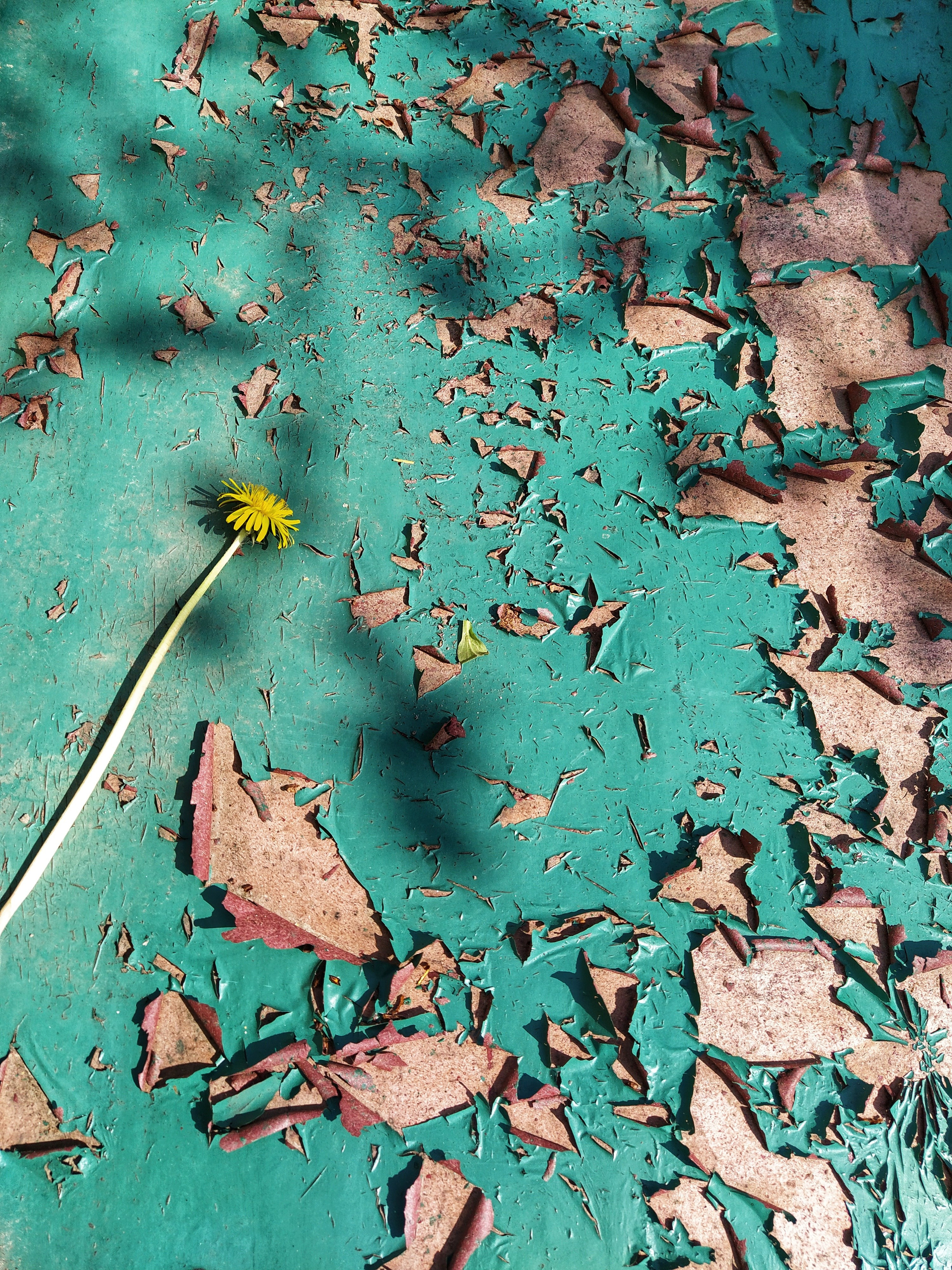 Бесшумная фотография. Tatyana Mazok творческий фотограф в Минске