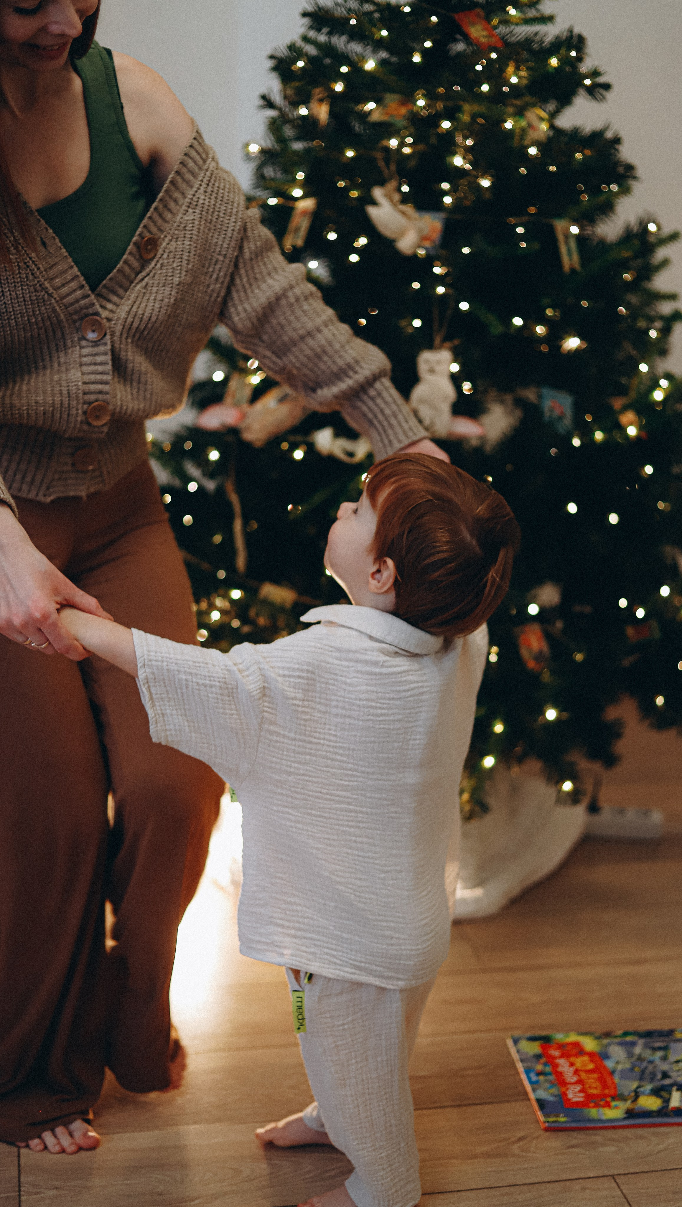 Домашняя новогодняя история. Алексей+Ксения+Дима. Услуги