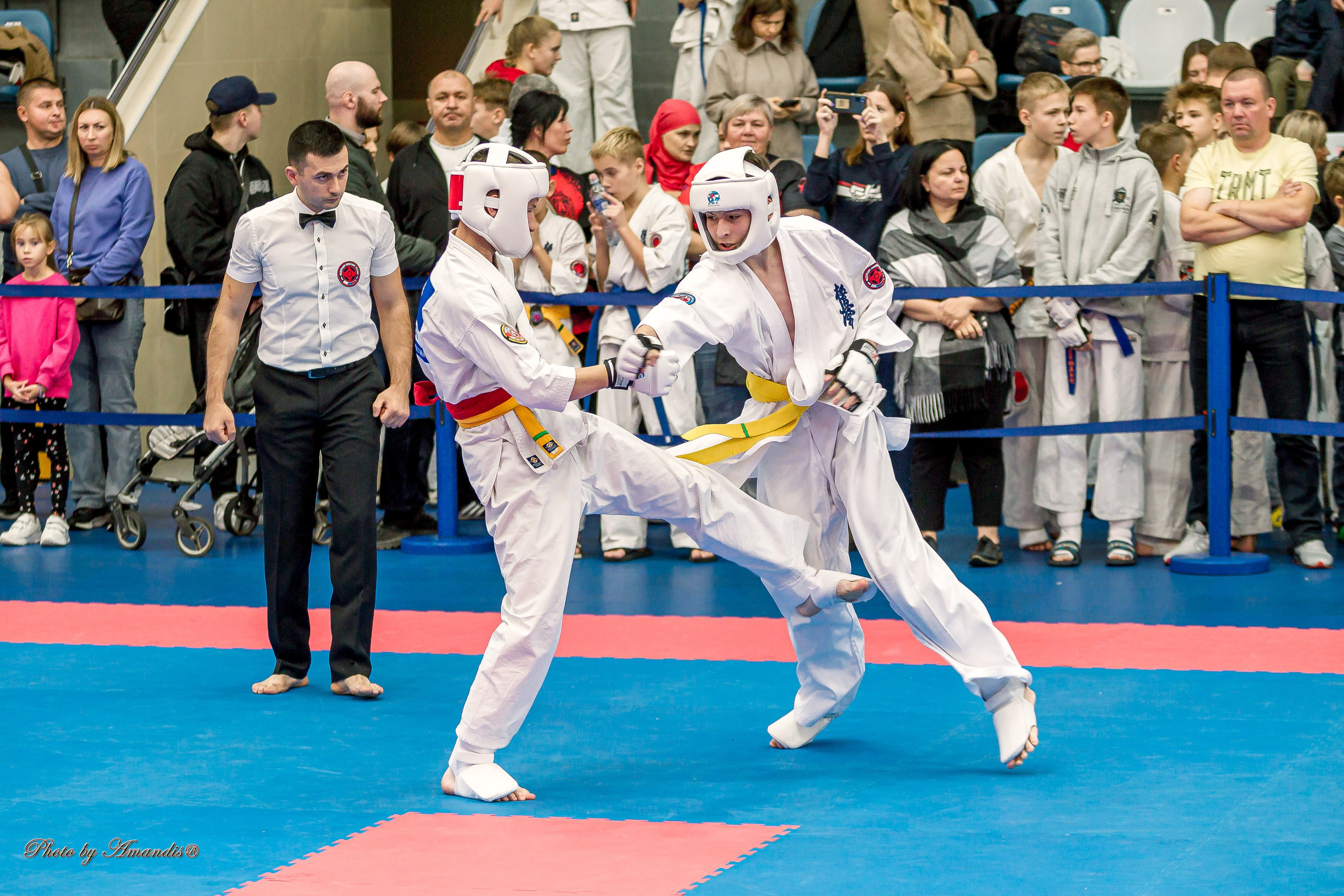 Чемпионат по Киокушинкай Центрального Федерального округа. Репортажная съемка в Москве и области. Анималистика