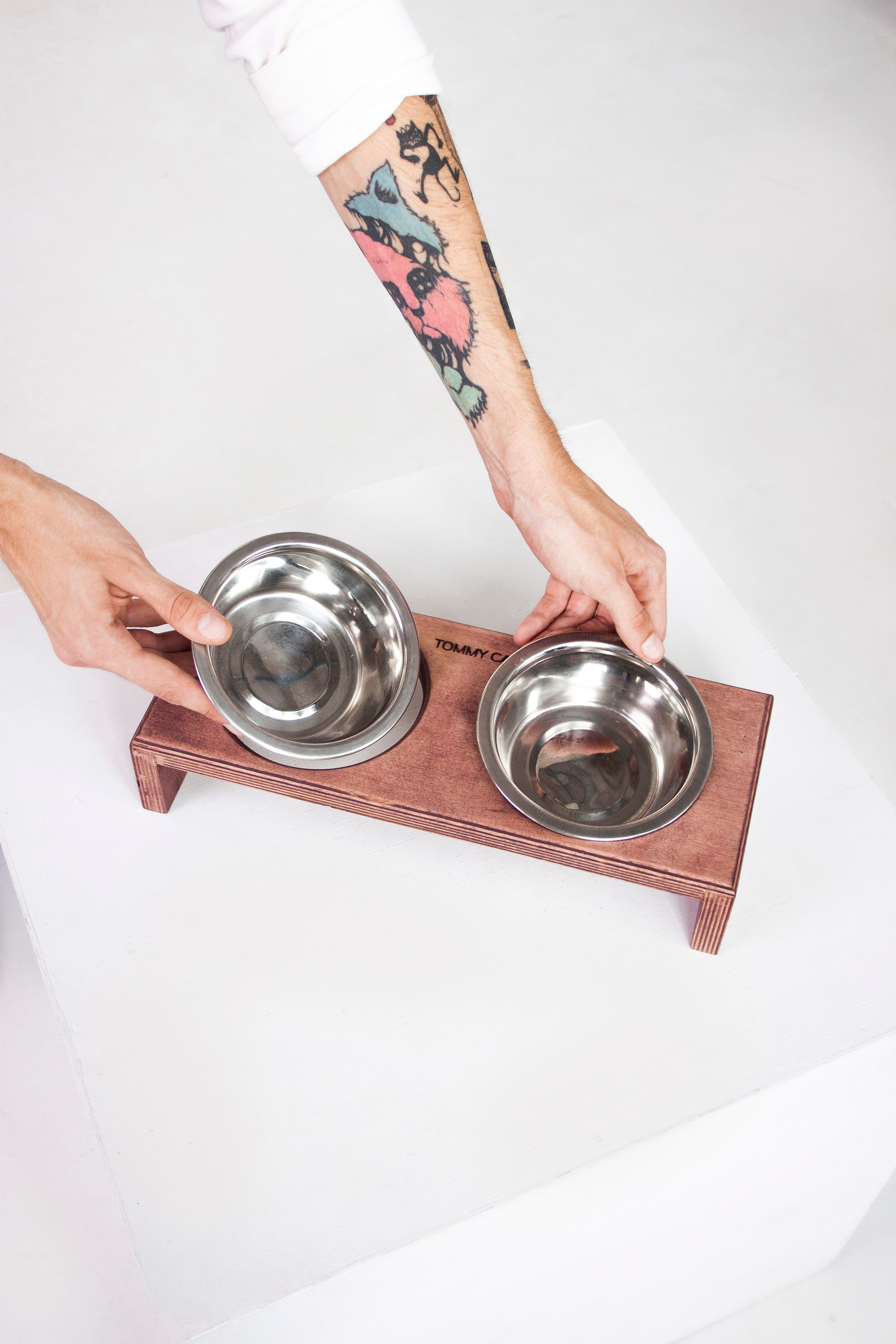 Работа с Tommy cat. Oksan_photo