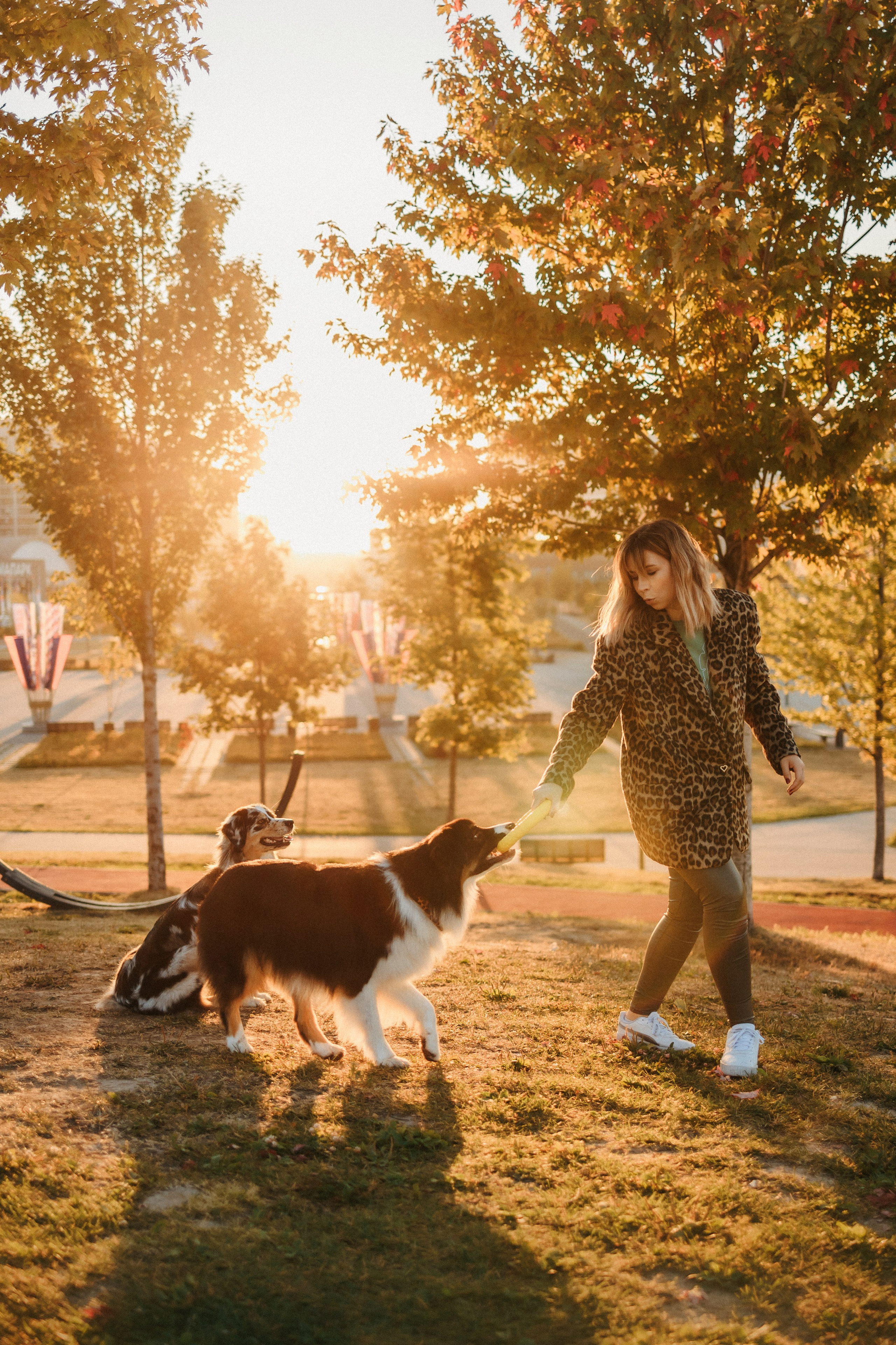 Аня, Чарли и Ева. Фотограф-анималист Елена Радченко, Москва
