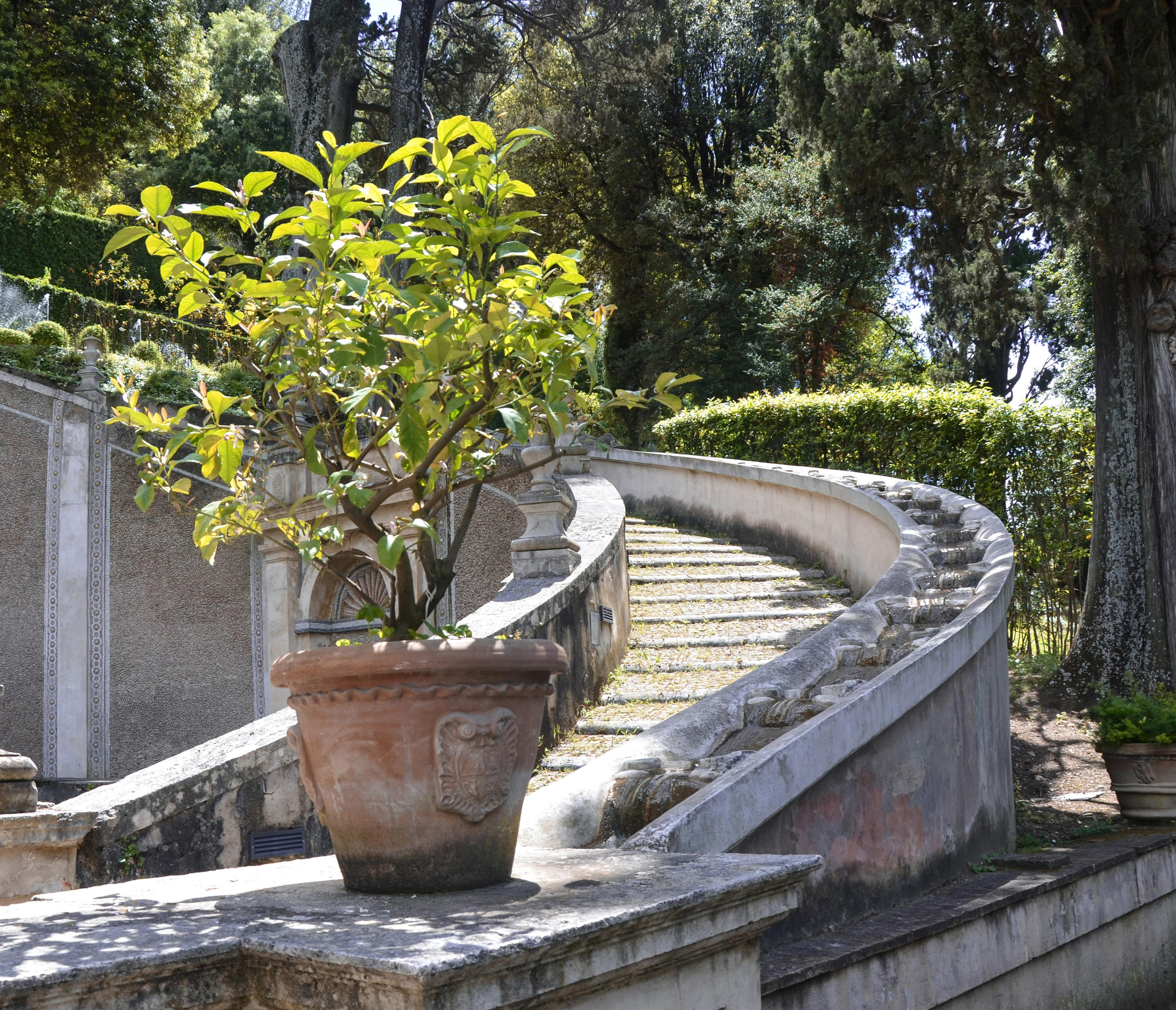 Путешествия. Ульяна Палама: Мир через призму фотокамеры