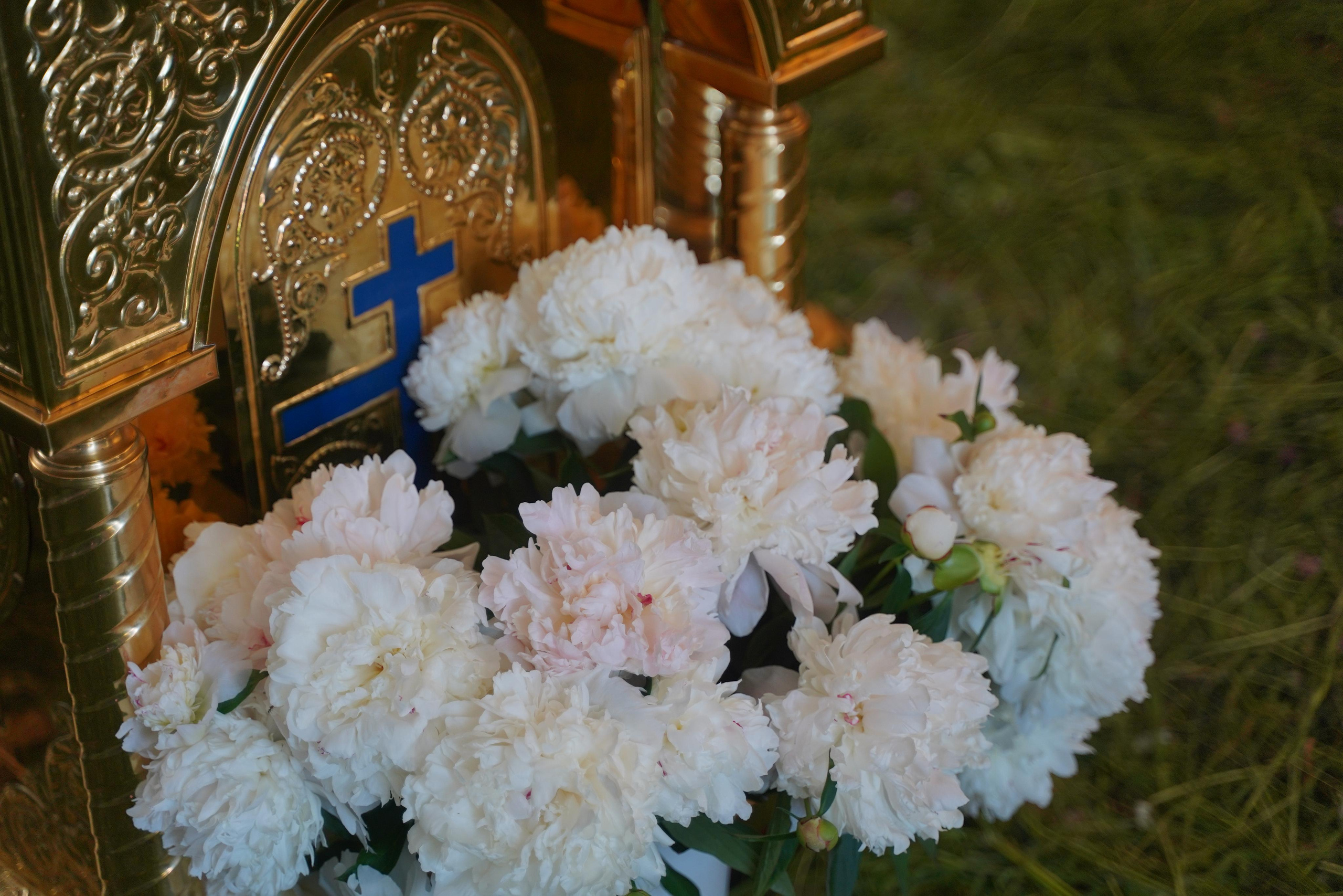 Божественная Литургия. Ульяна Палама: Мир через призму фотокамеры