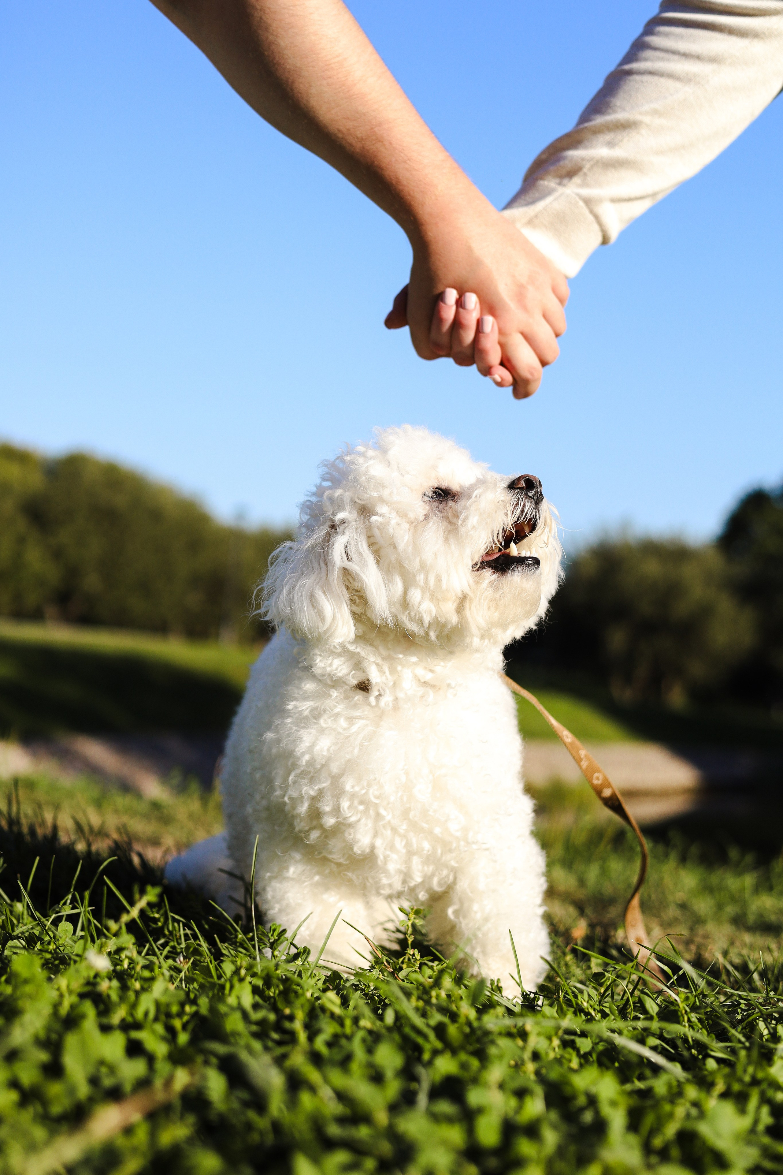 Тимоша, Катя и Вова. Фотограф-анималист Ксения Шевцова|Москва