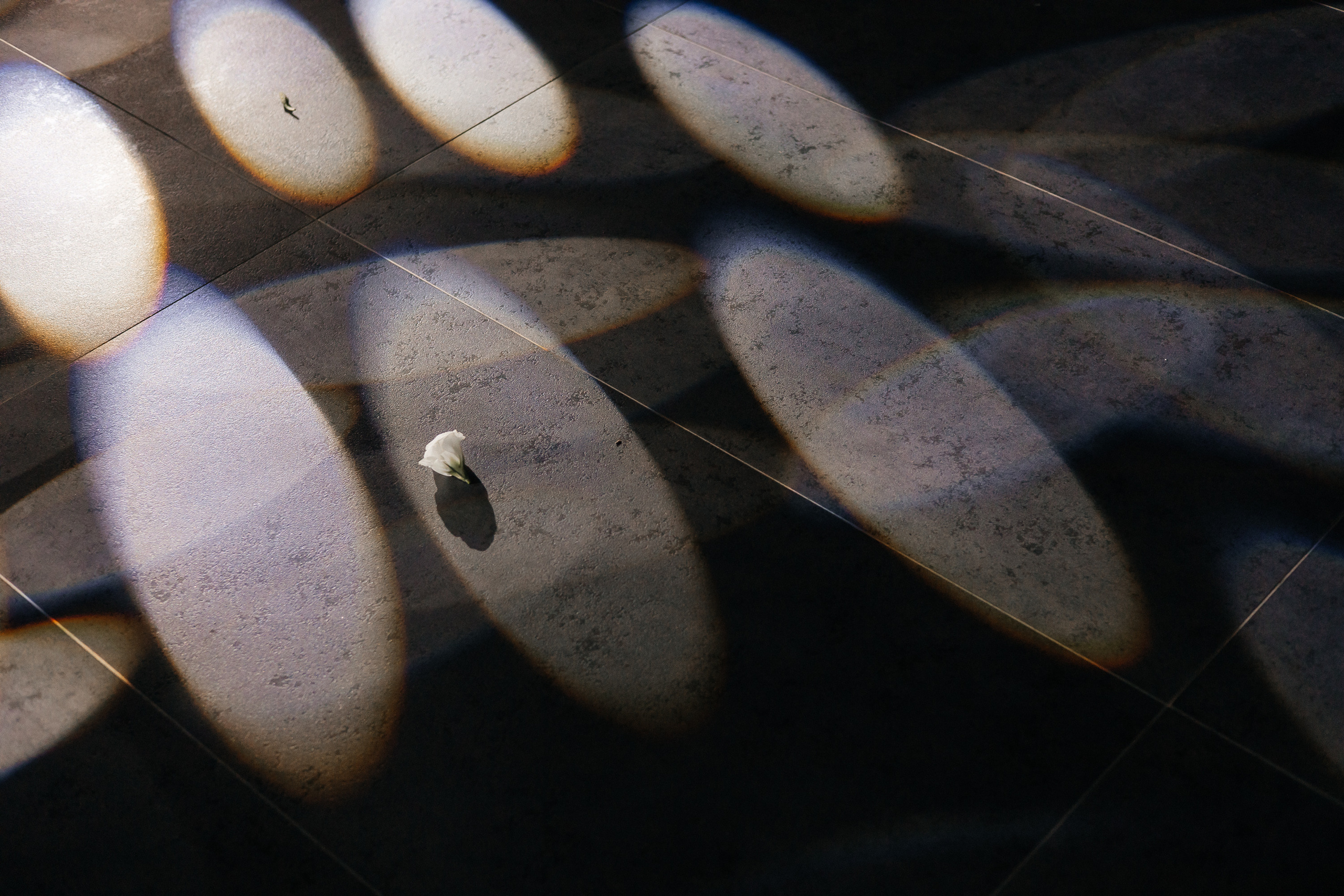 Данил и Даша. Фотограф Денис Голубев