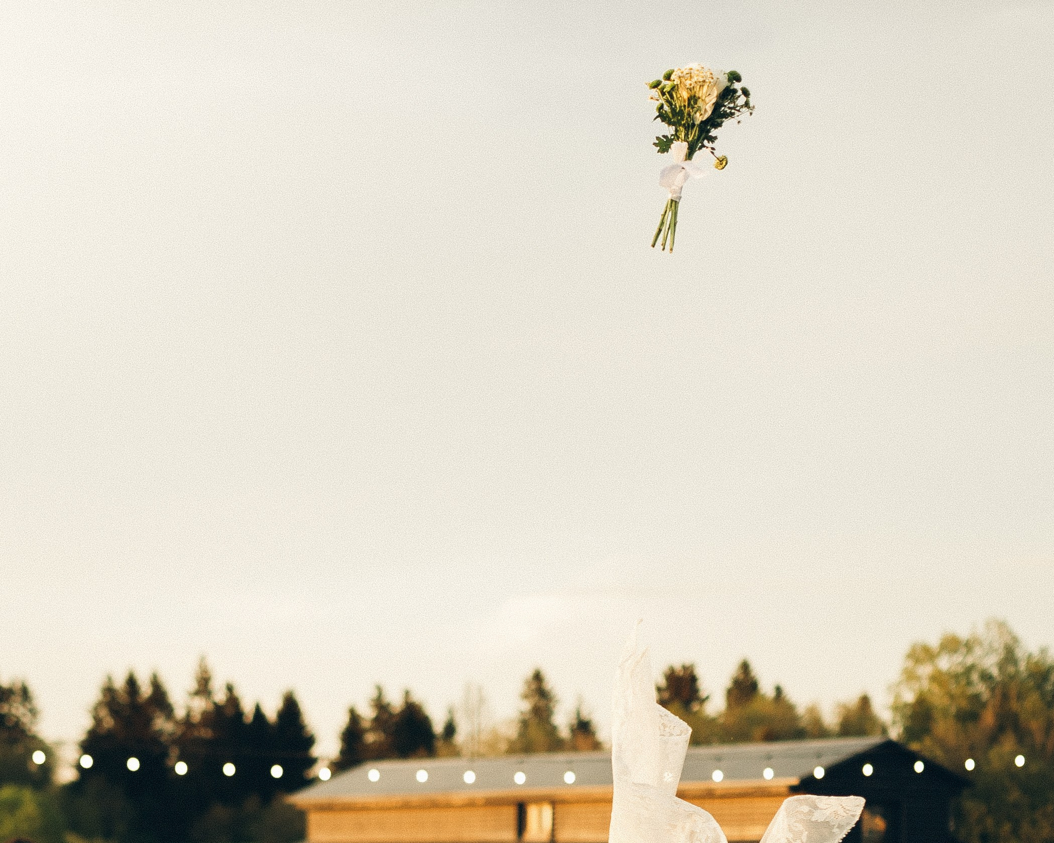 Vinity Forest. Фотограф Анастасия Платонова | Санкт-Петербург