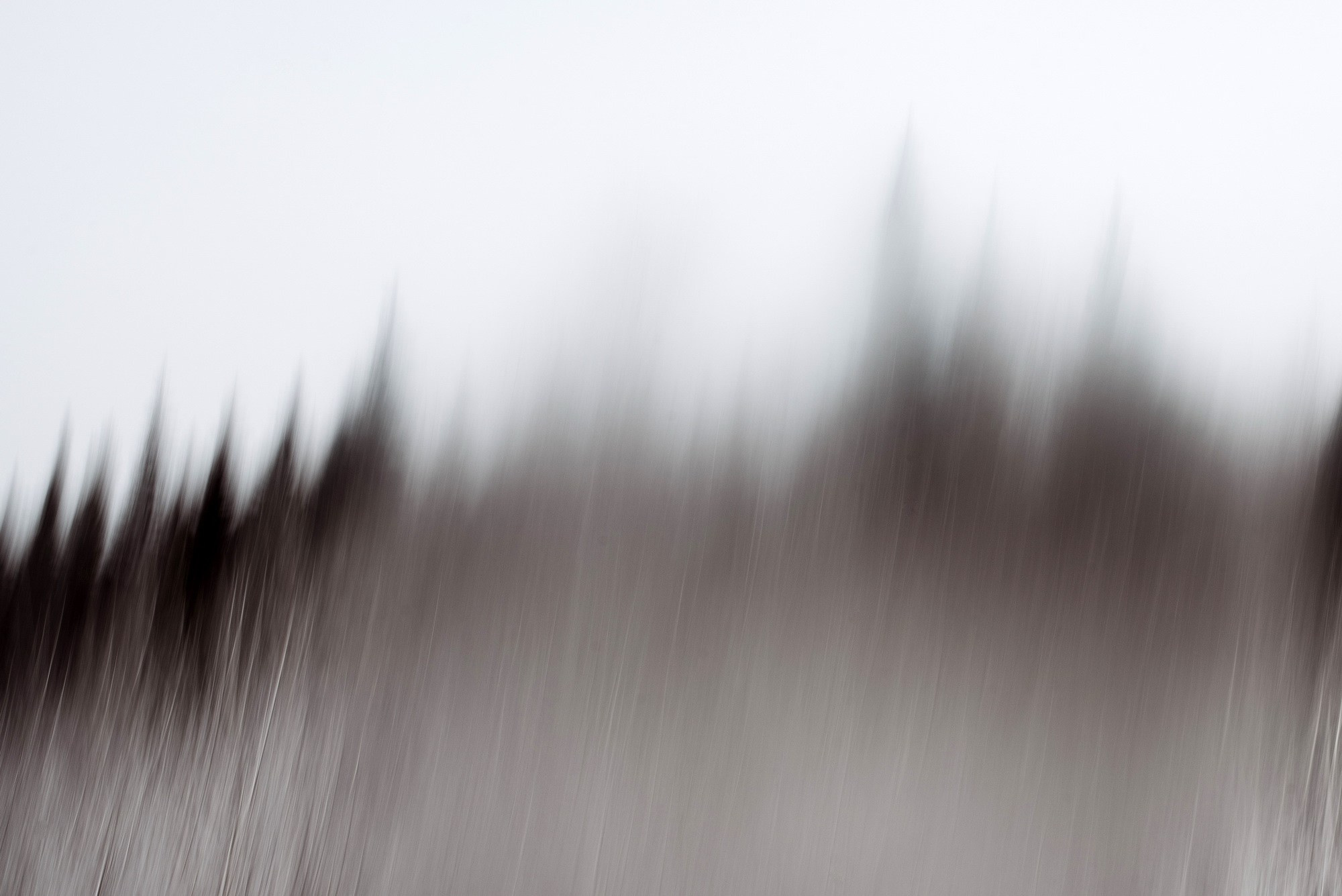 Синдром предков. Наталия Шульгина — визуальный художник, фотограф