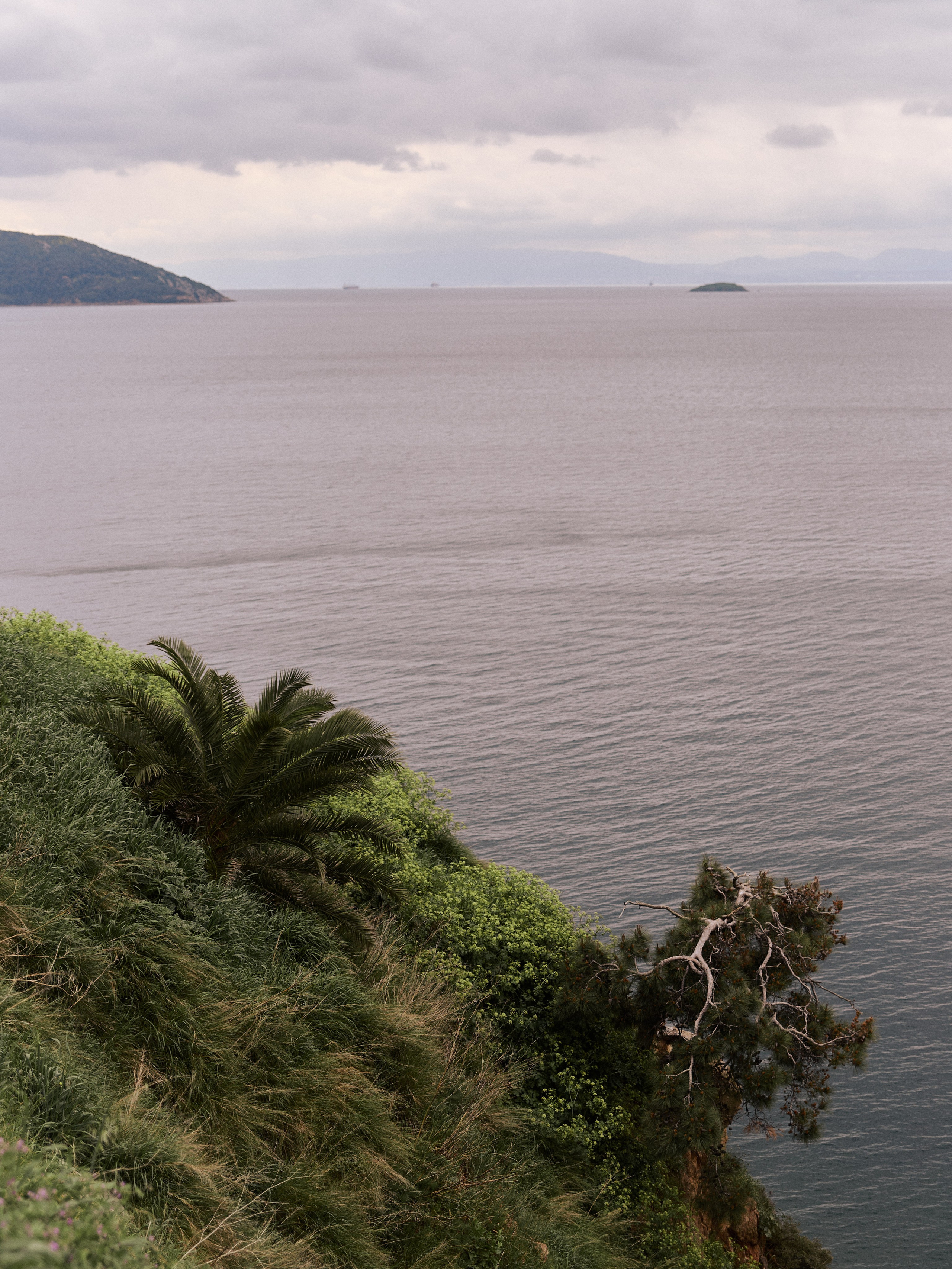 Природа. Jorgis Talè — photographer, kind person, teacher of arts and other mag