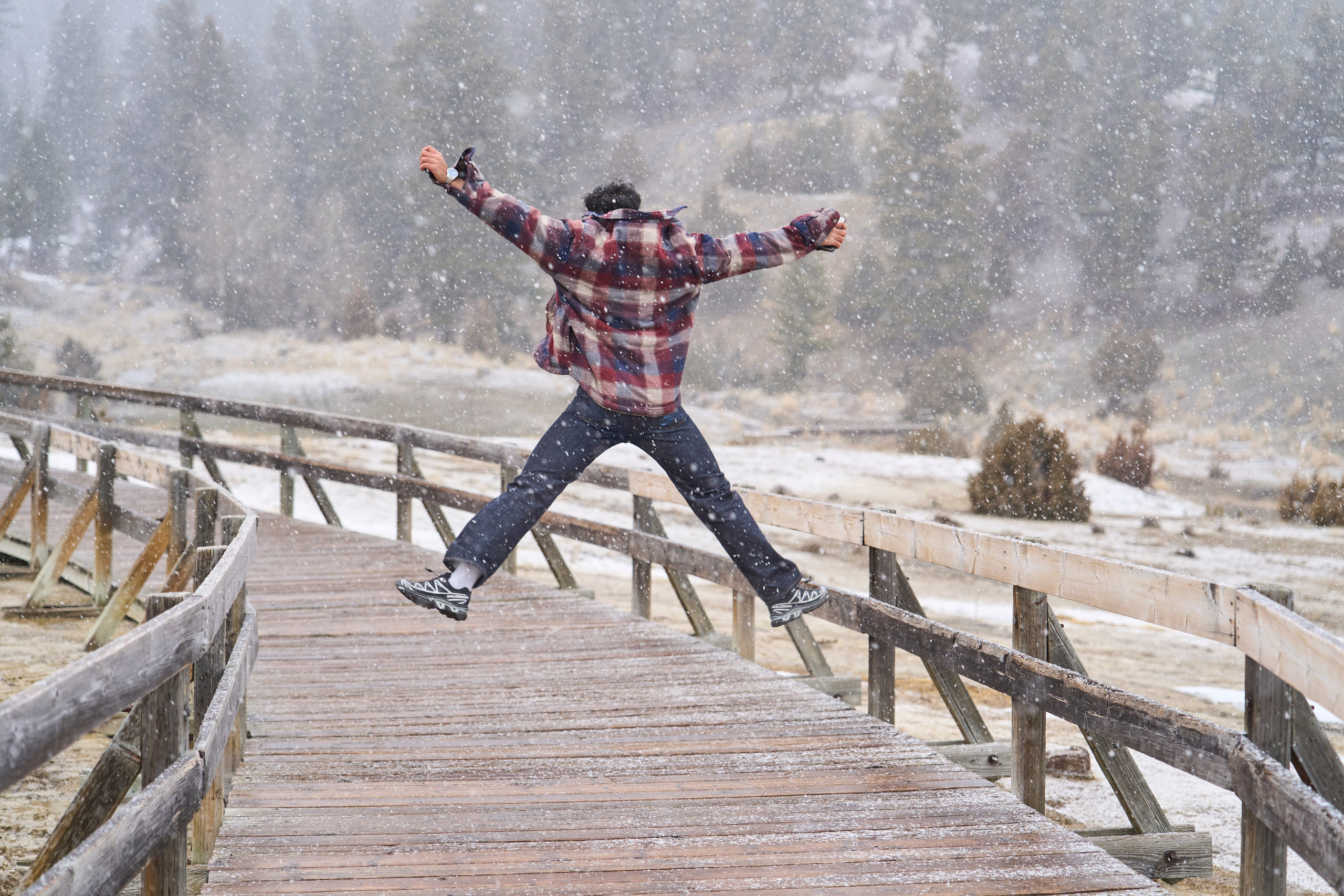 Spring 2026 – Yellowstone.